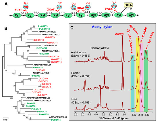 Plants 13 02304 g003
