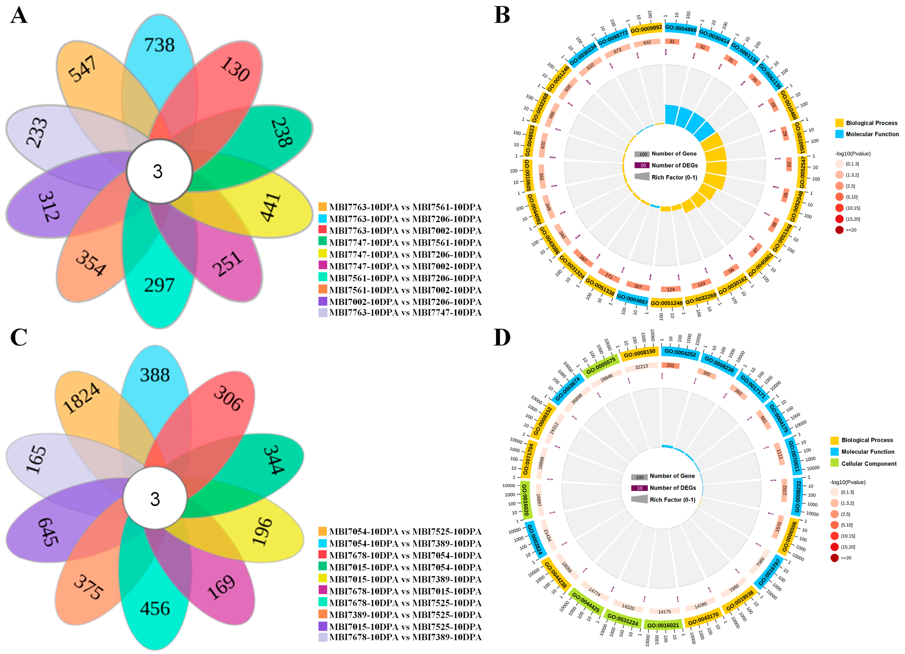 Plants 13 02308 g003