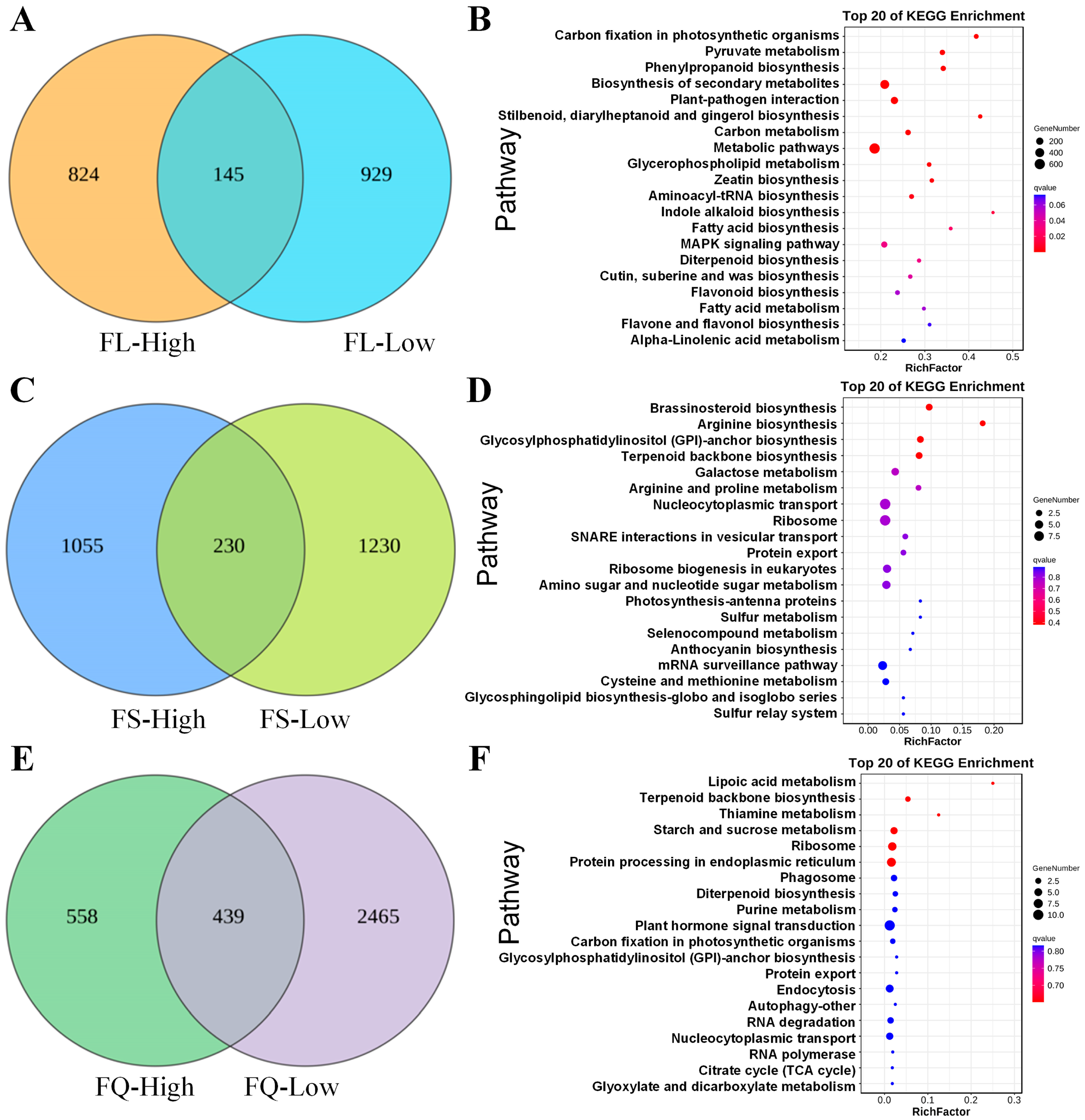 Plants 13 02308 g008