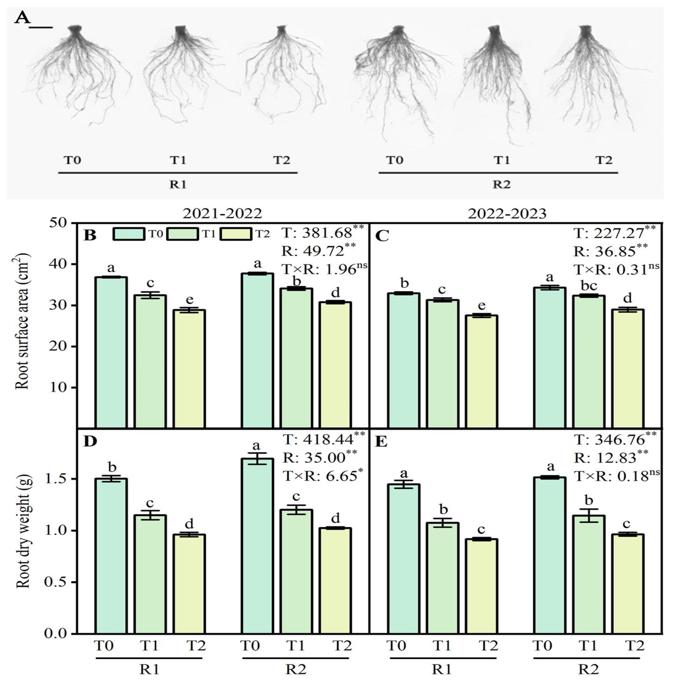 Plants 13 02311 g001