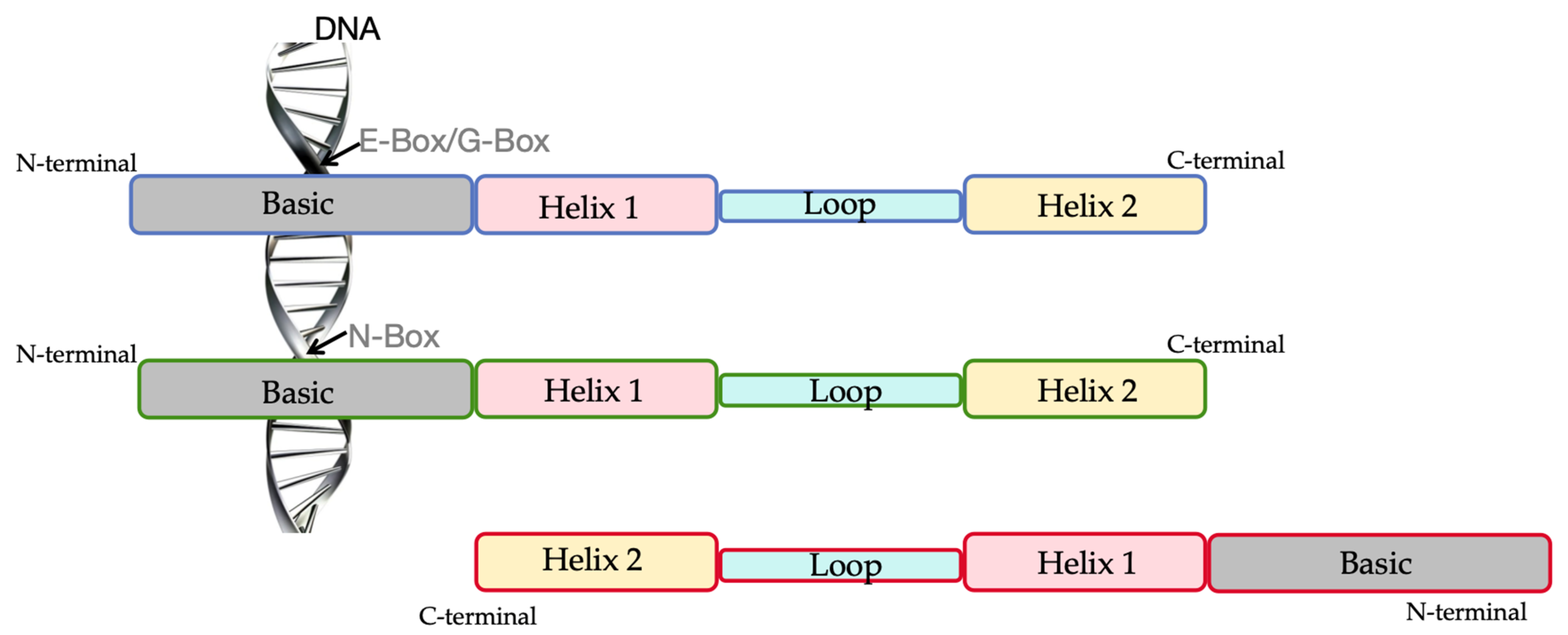 Plants 13 02315 g001