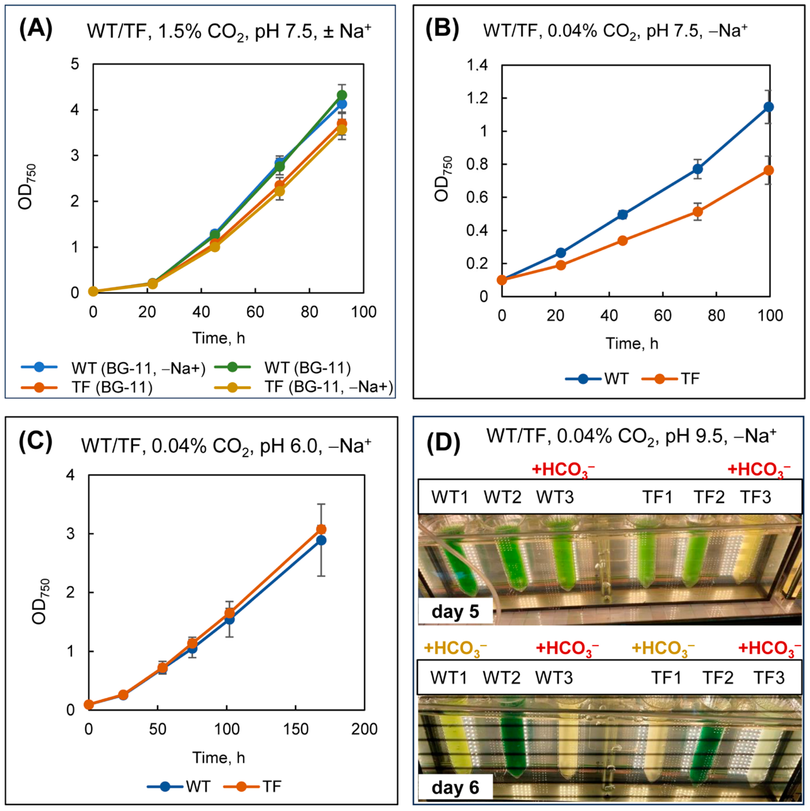 Plants 13 02323 g011