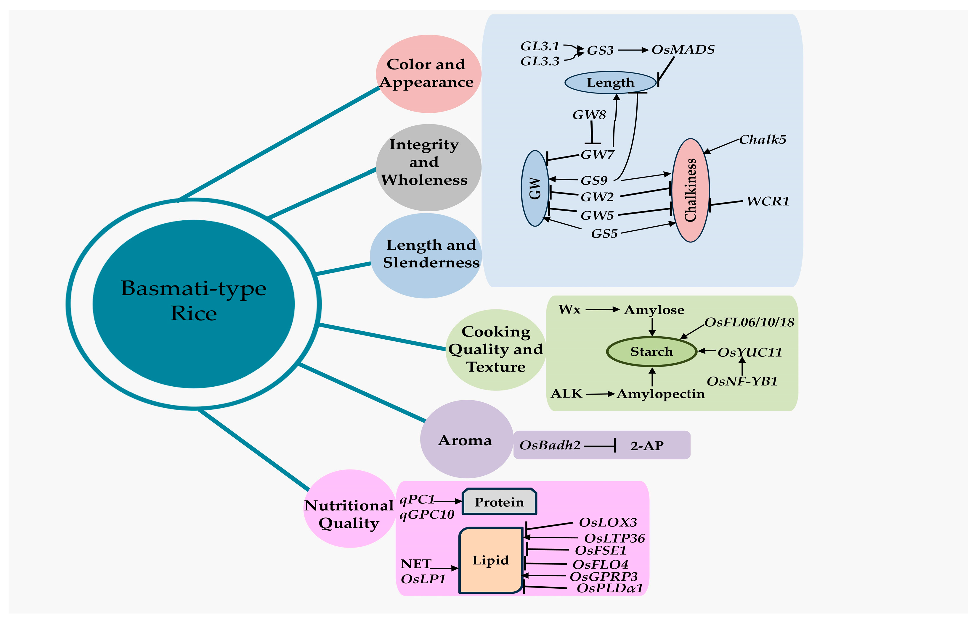 Plants 13 02326 g003