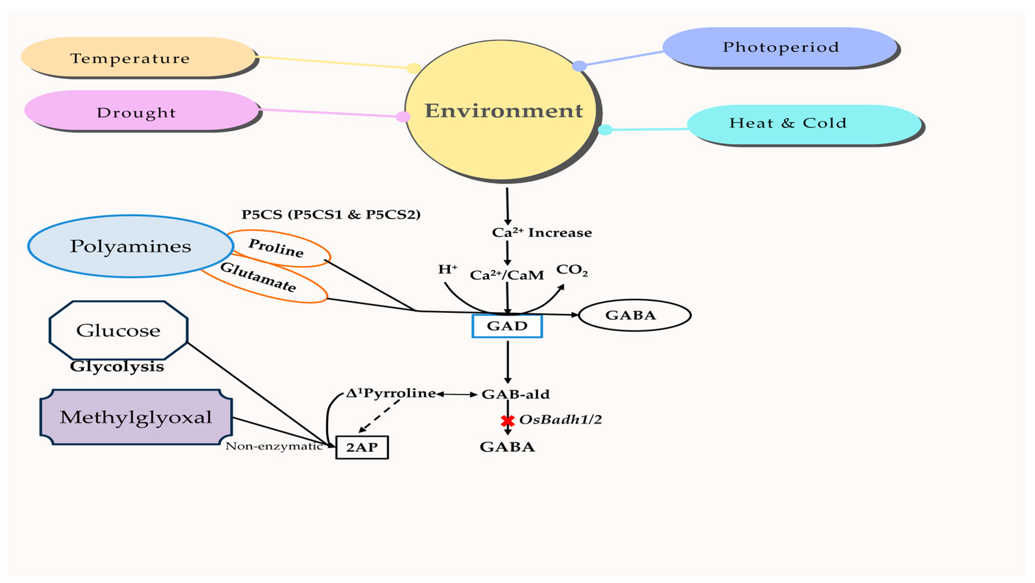 Plants 13 02326 g004