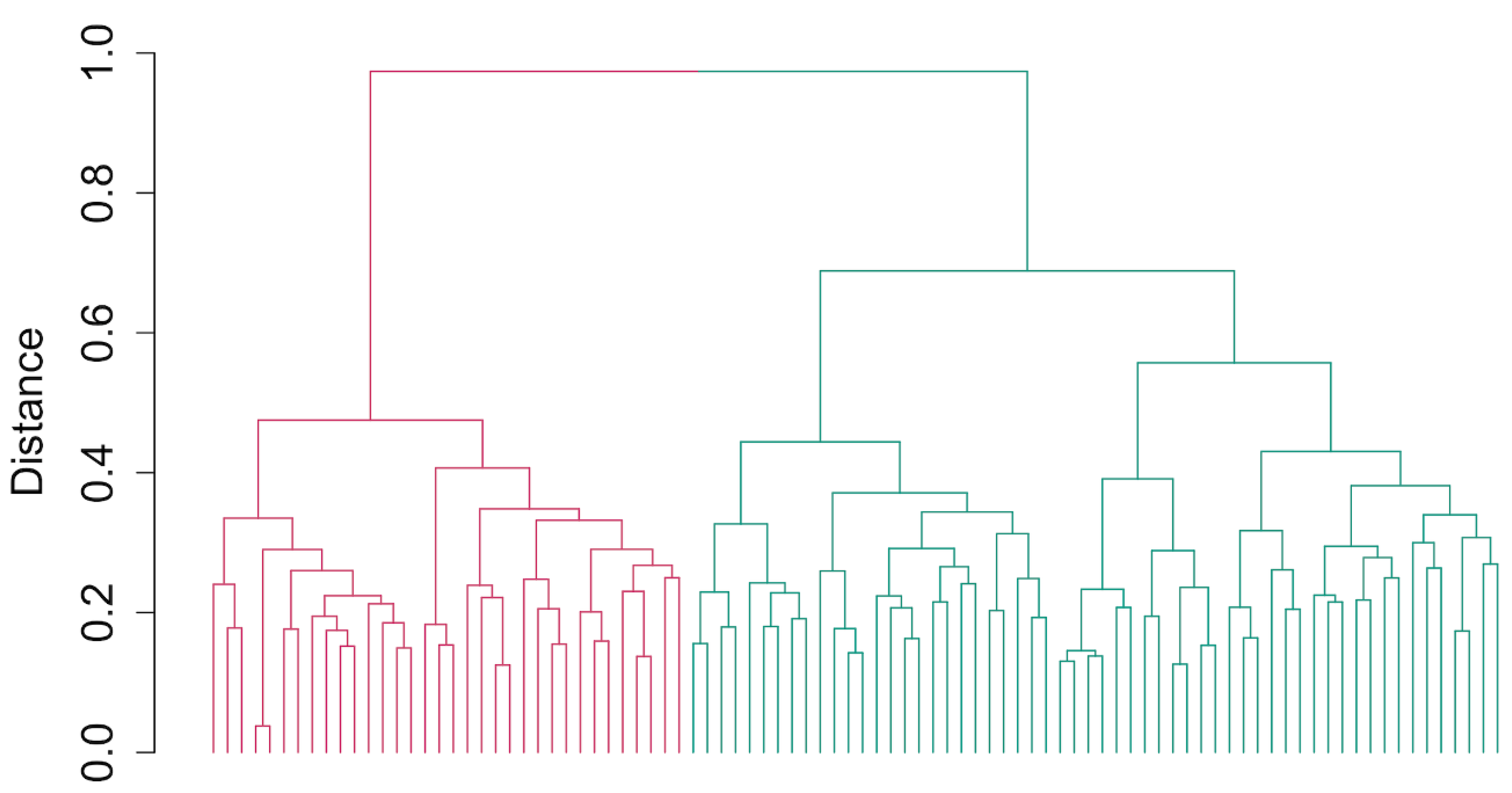 Plants 13 02328 g002