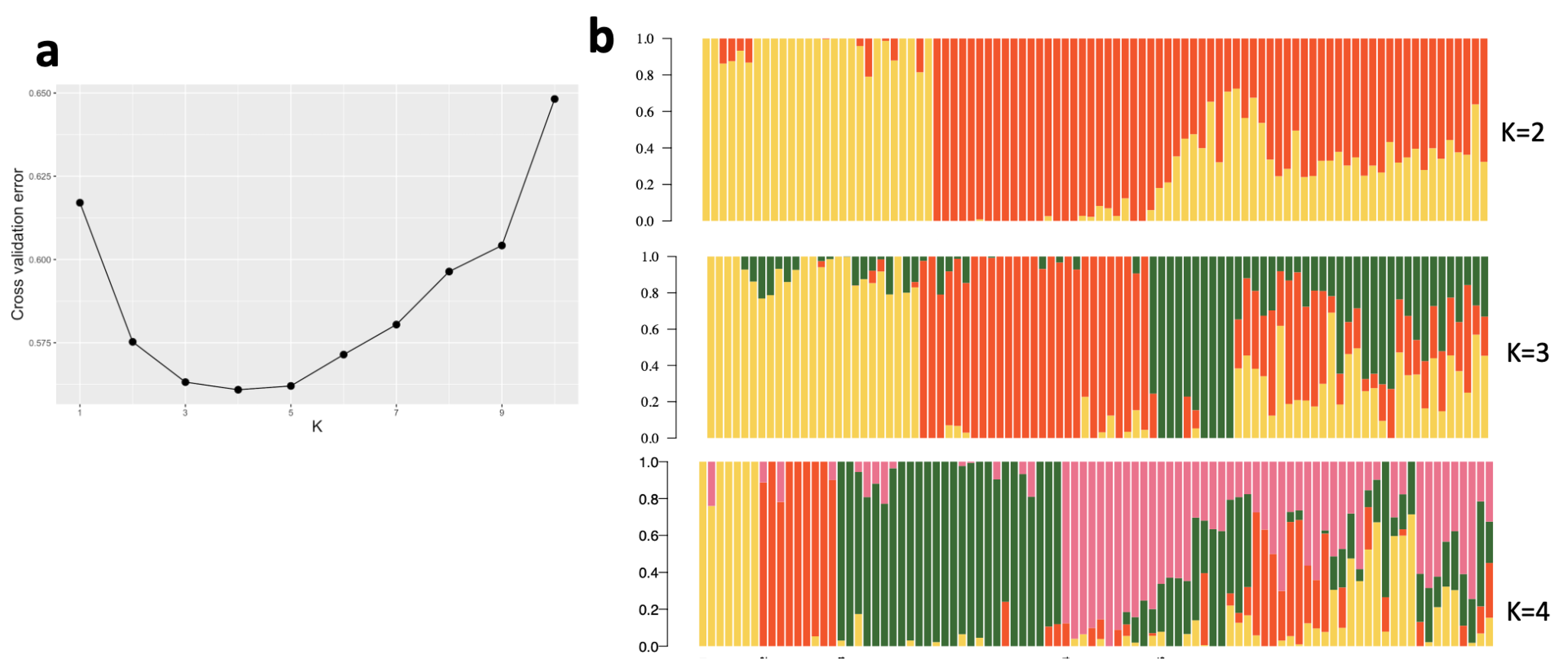 Plants 13 02328 g004