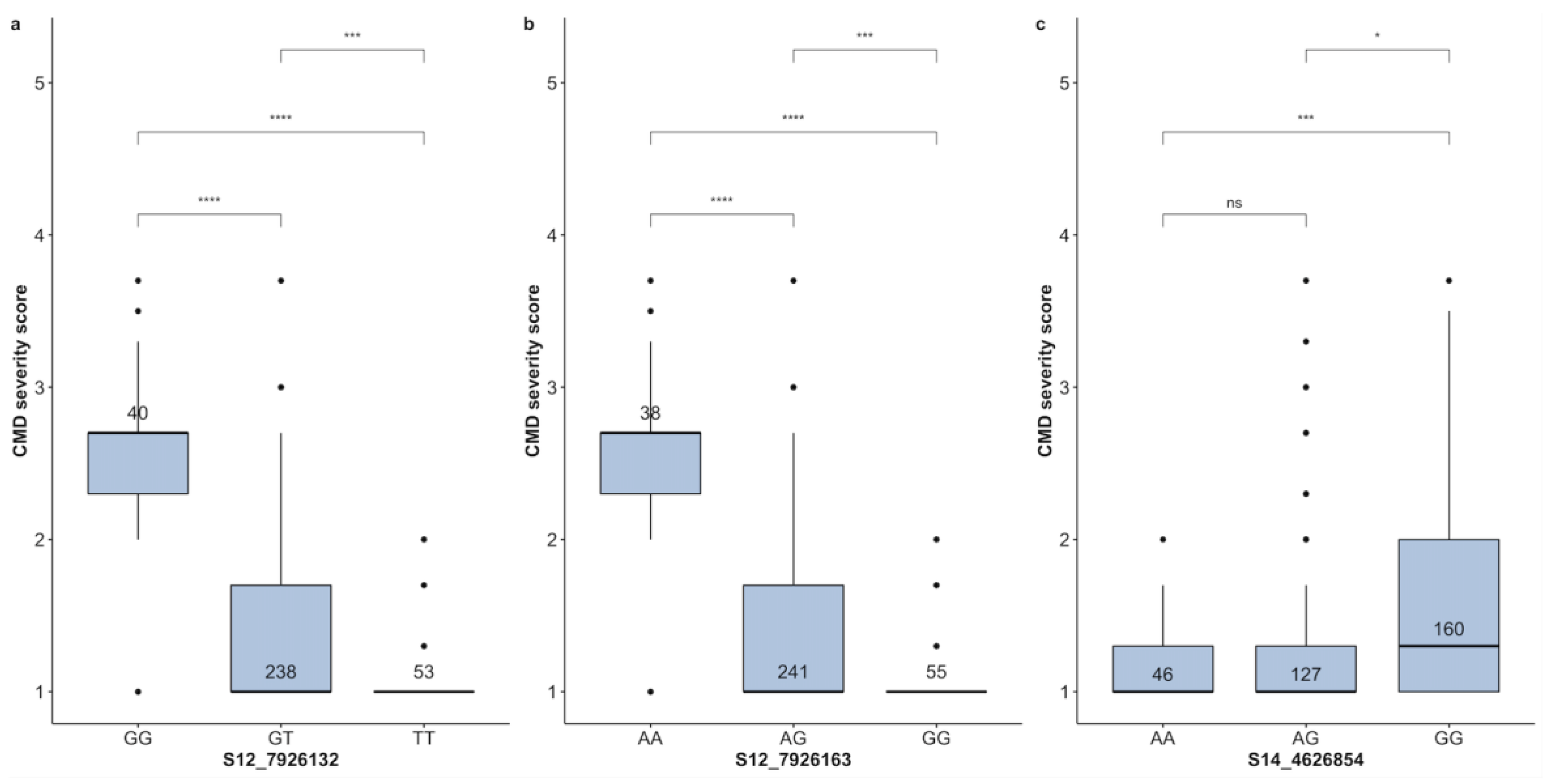 Plants 13 02328 g005