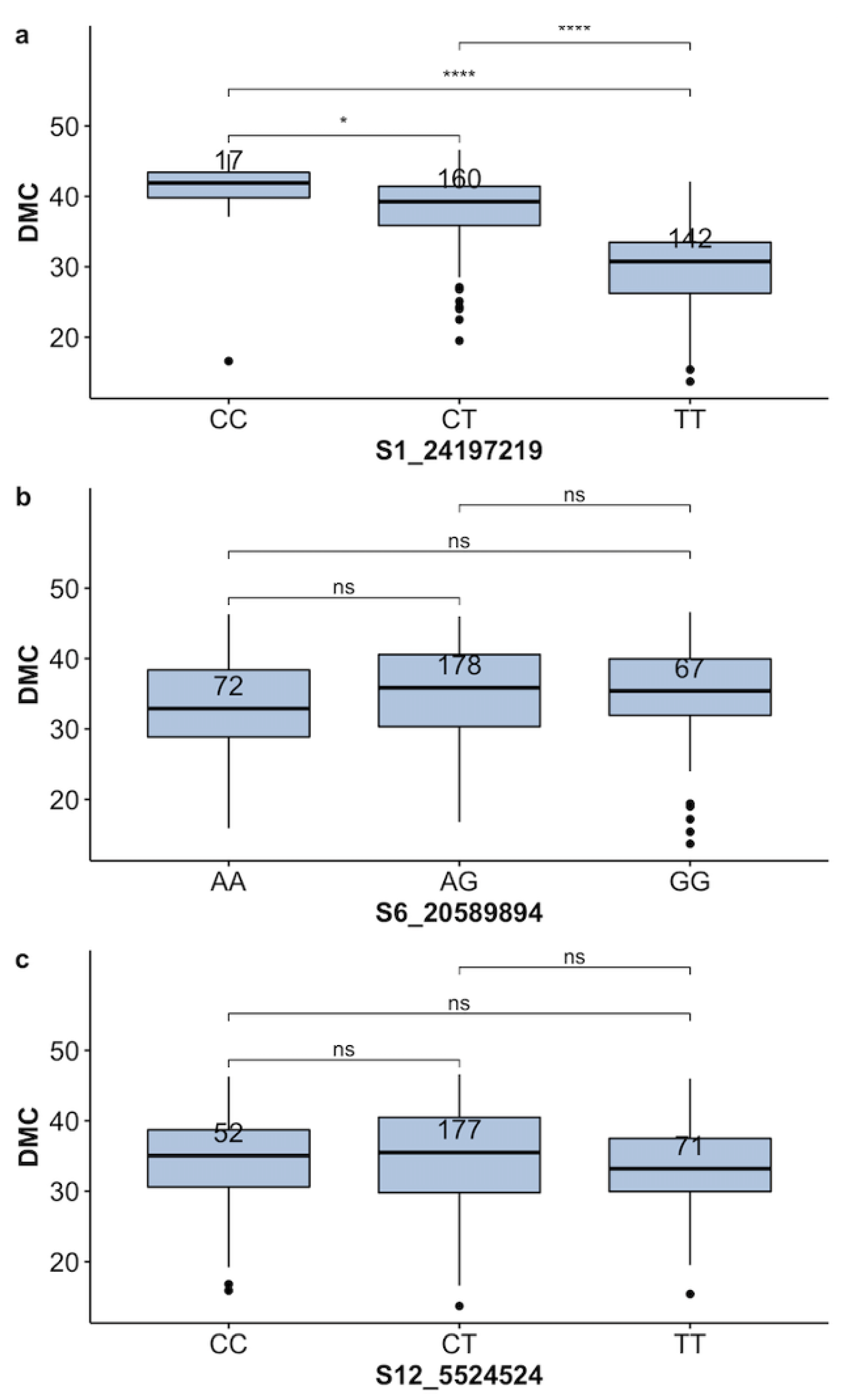 Plants 13 02328 g006