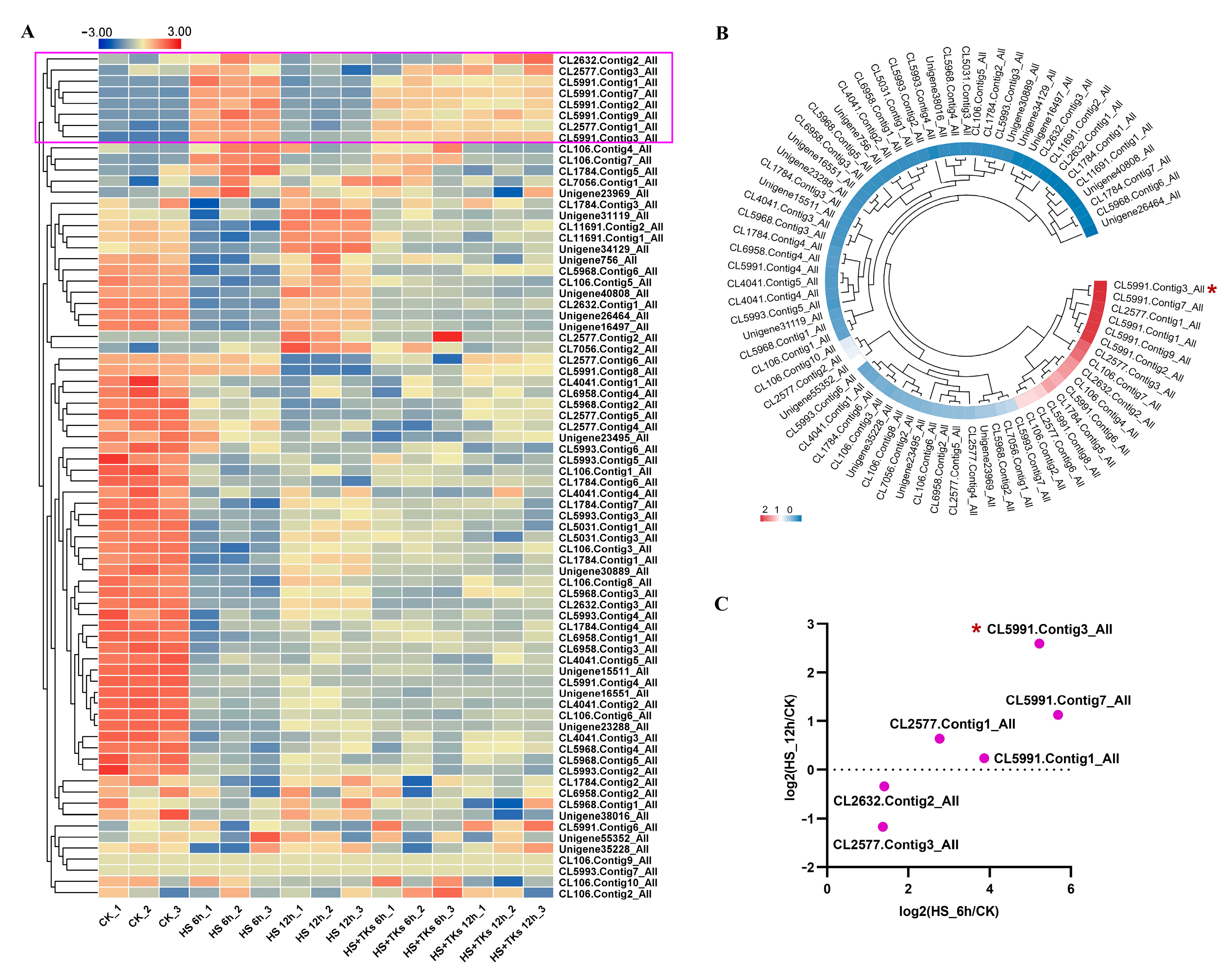 Plants 13 02330 g001 Plants 13 02330 g001