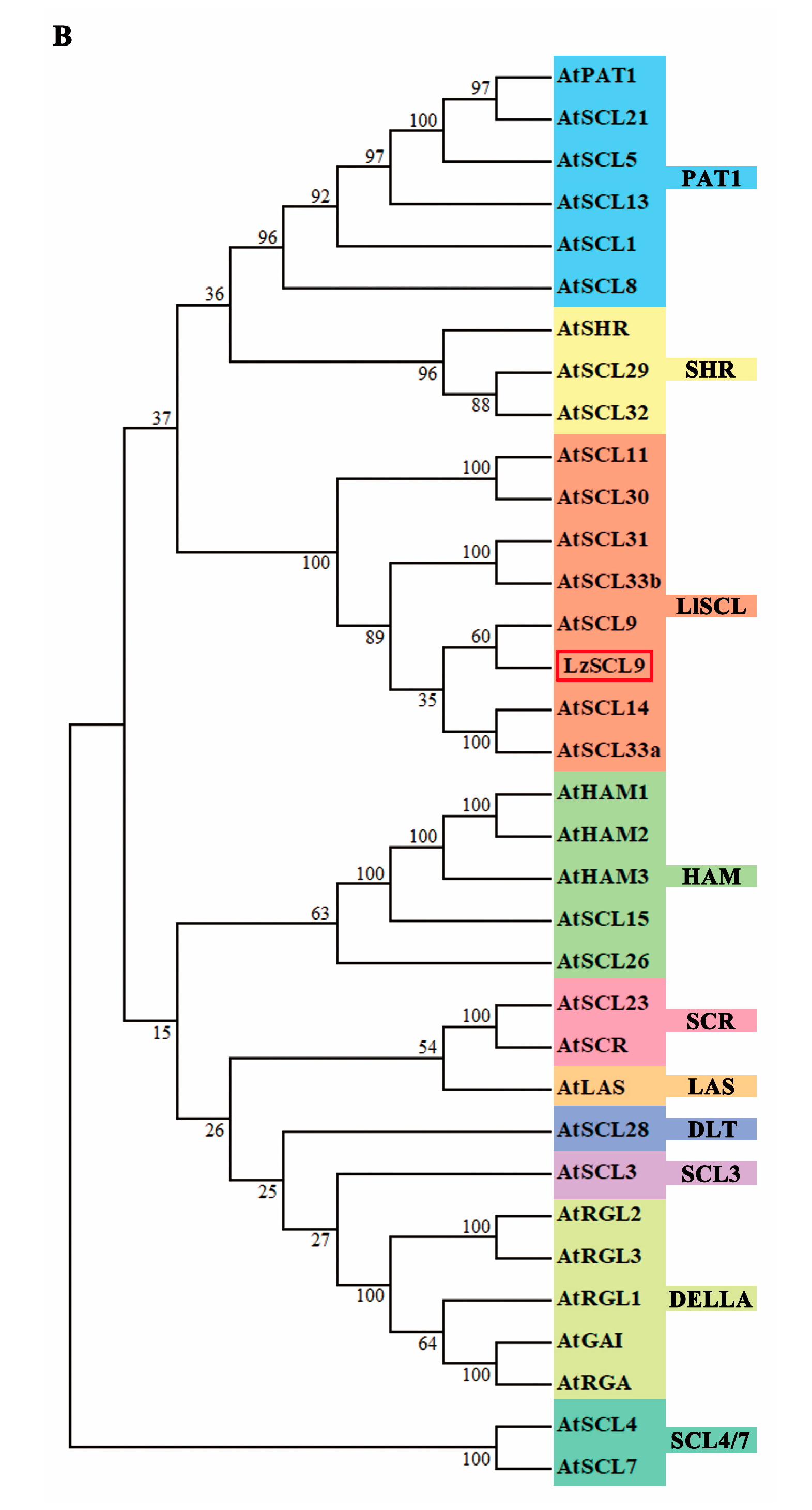 Plants 13 02330 g002b Plants 13 02330 g002b
