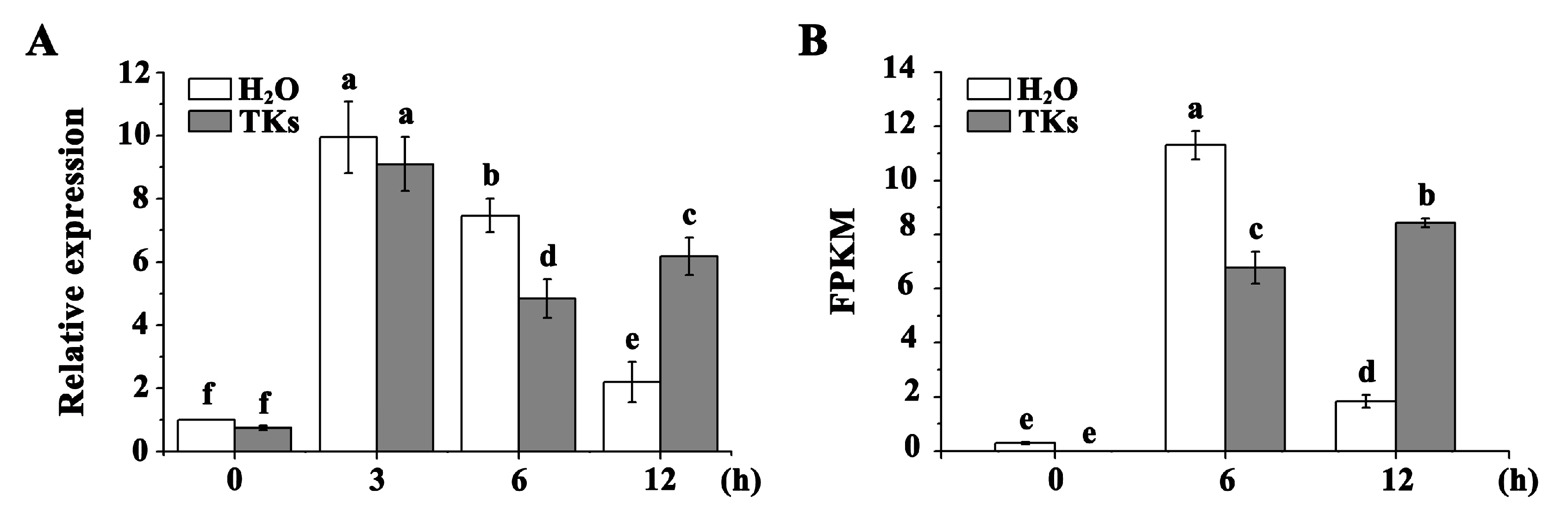 Plants 13 02330 g003 Plants 13 02330 g003
