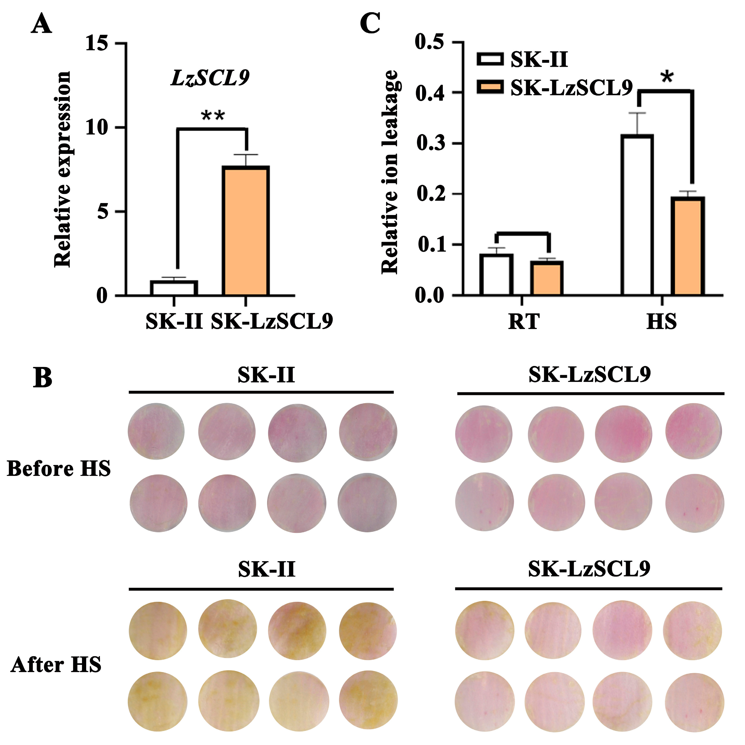 Plants 13 02330 g004 Plants 13 02330 g004