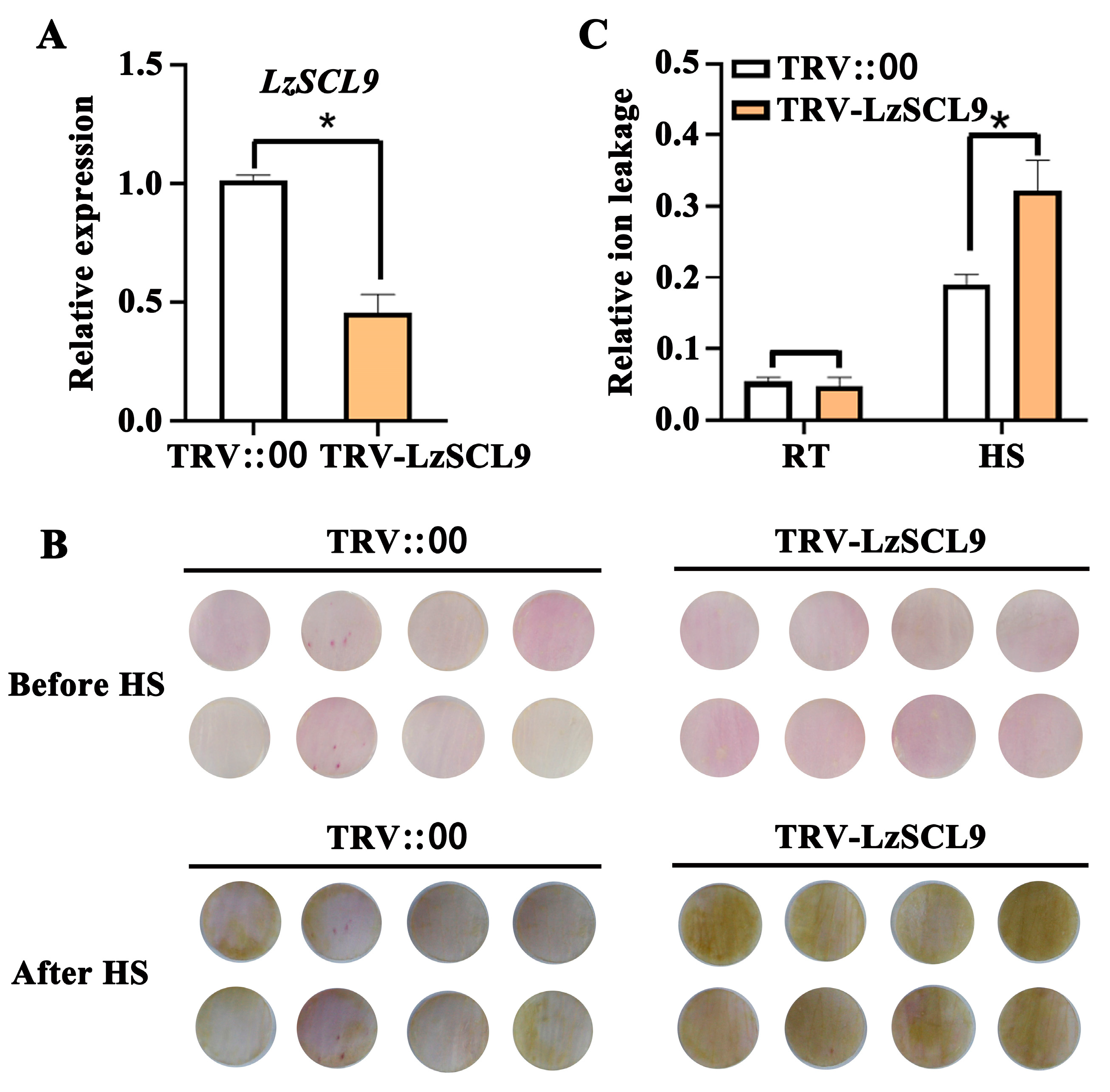 Plants 13 02330 g005 Plants 13 02330 g005