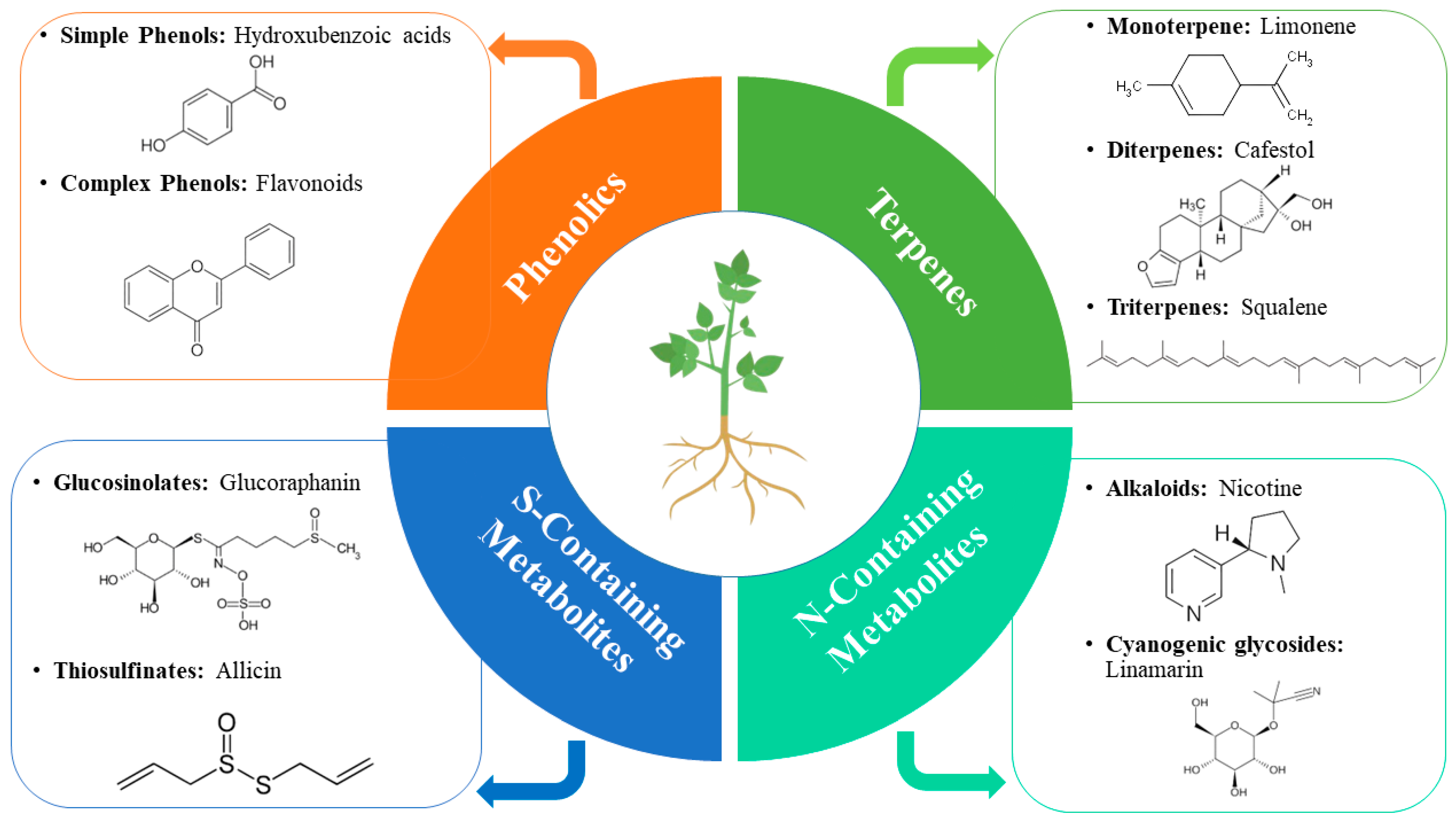Plants 13 02332 g001