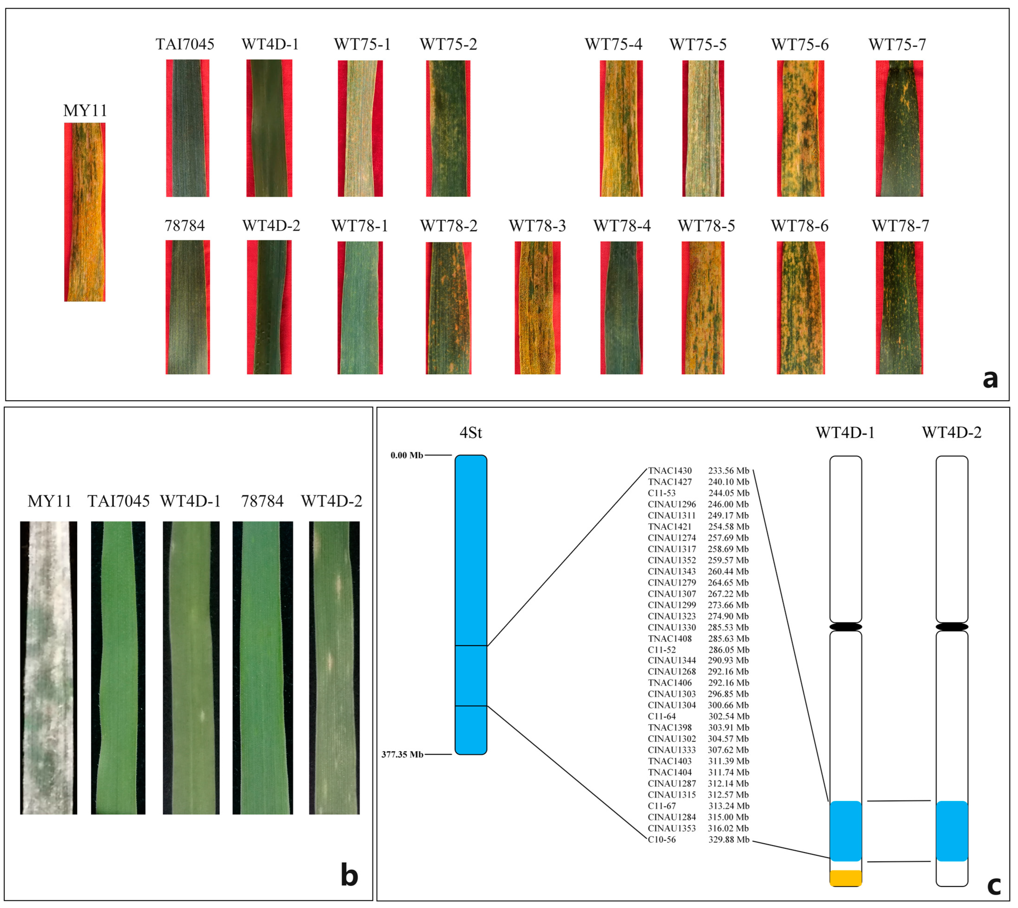 Plants 13 02333 g006