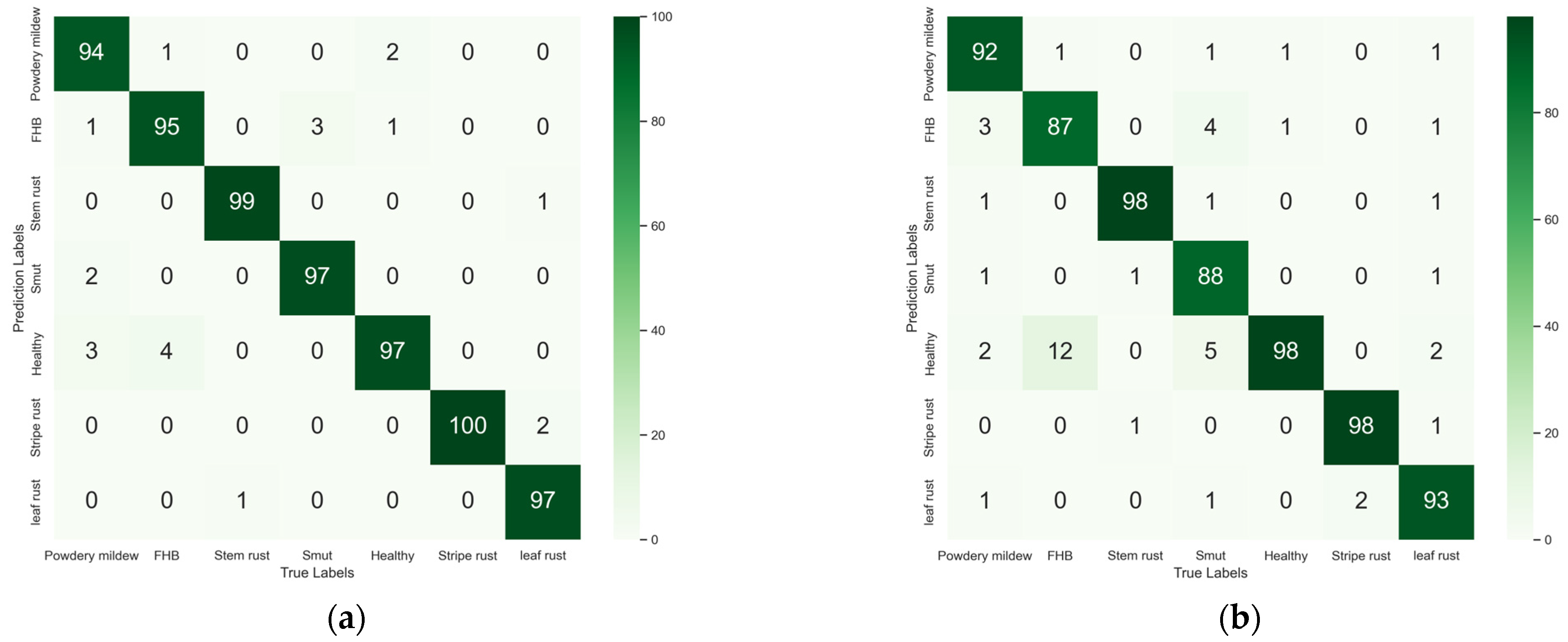 Plants 13 02334 g005a