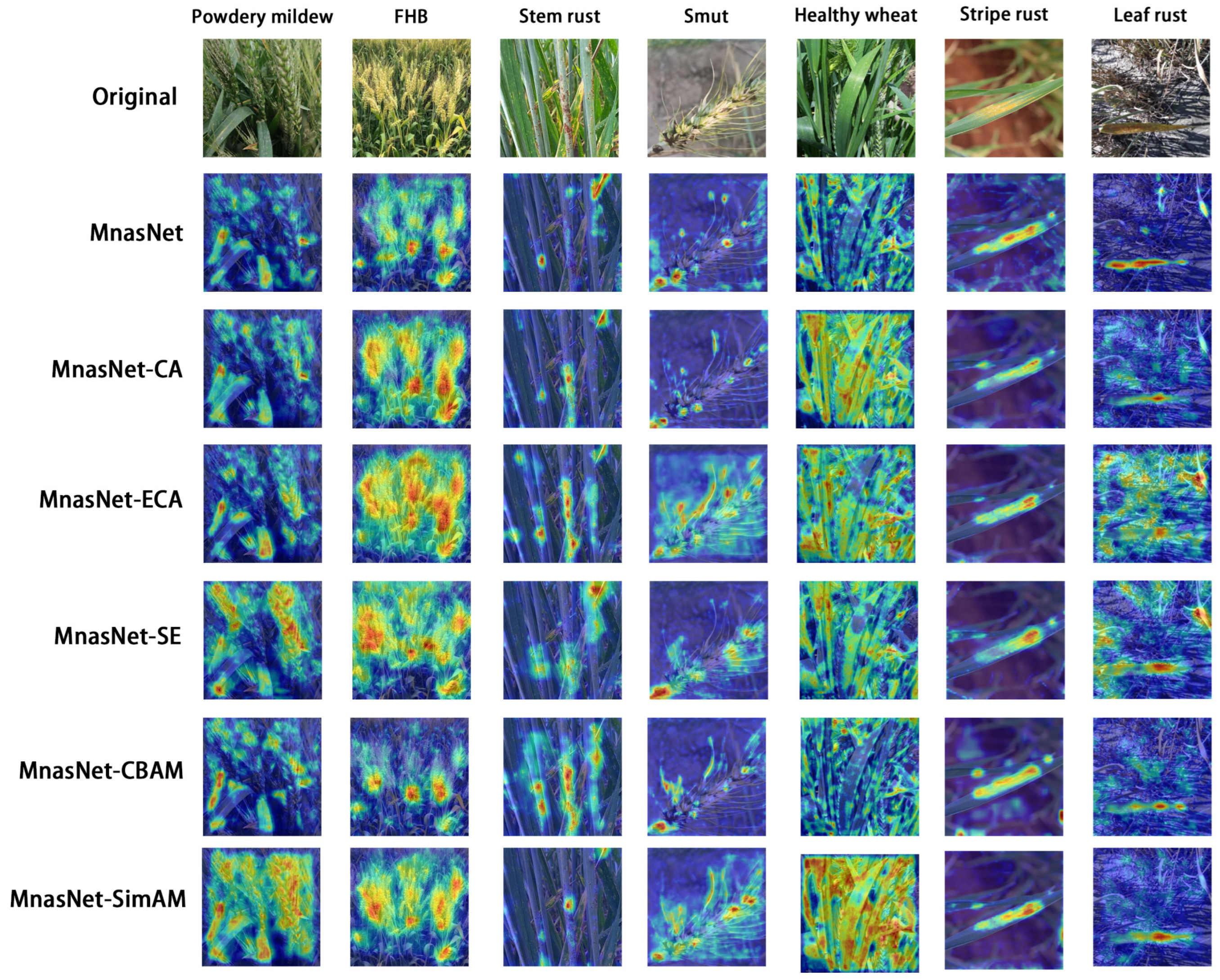 Plants 13 02334 g006