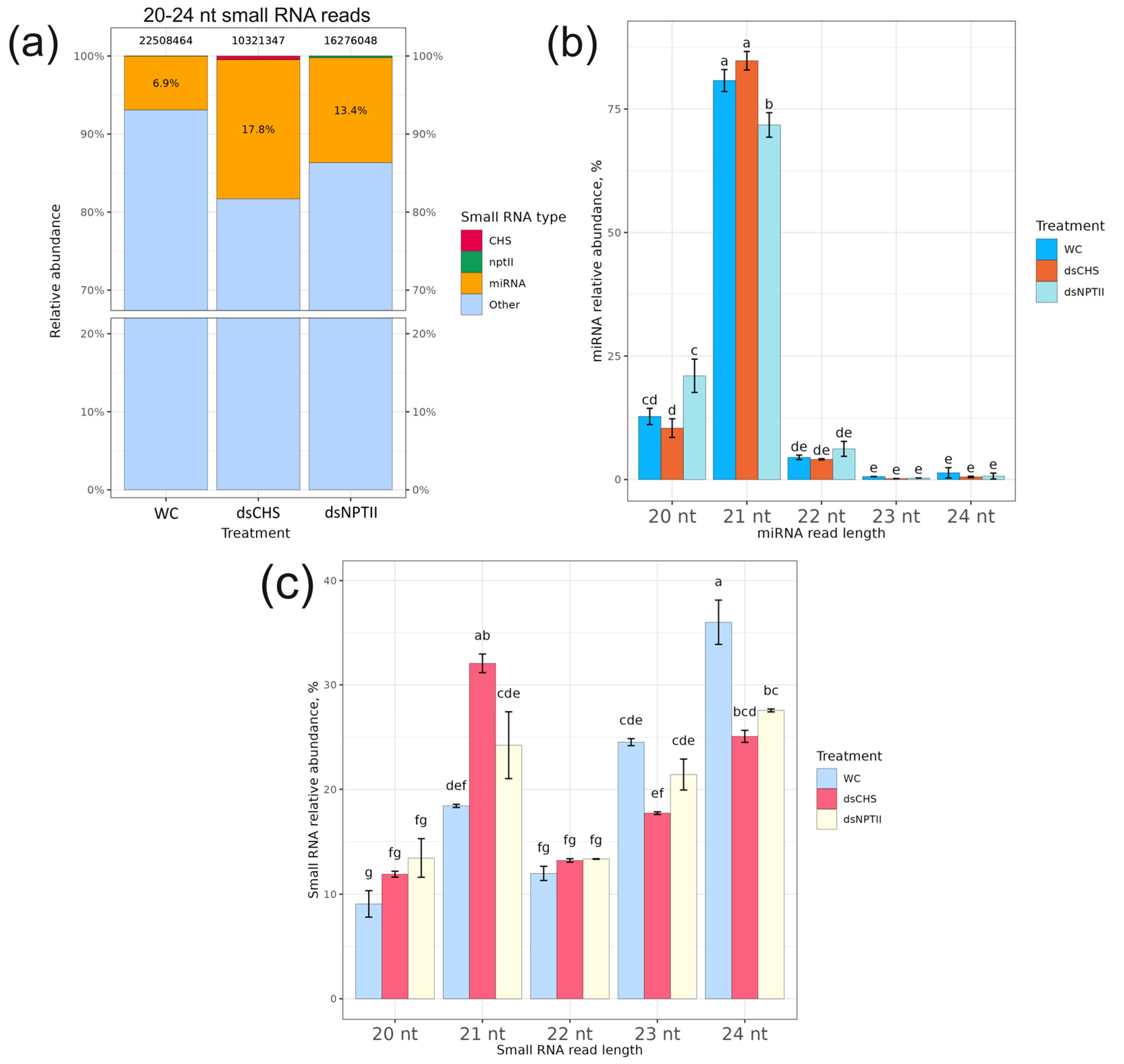 Plants 13 02335 g001