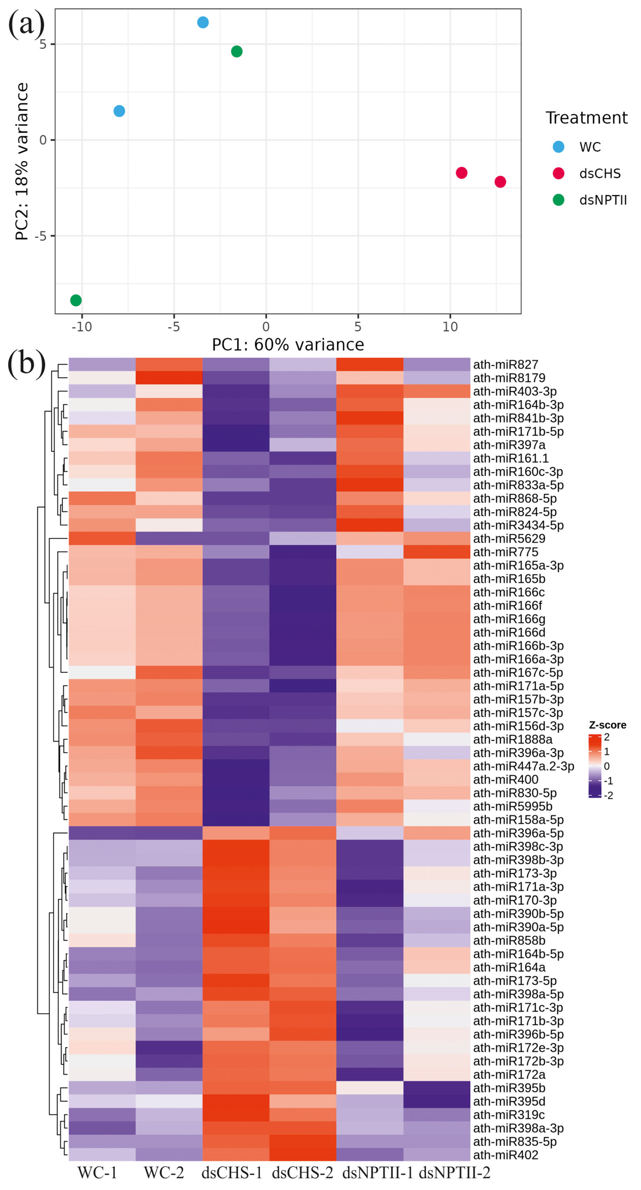 Plants 13 02335 g002