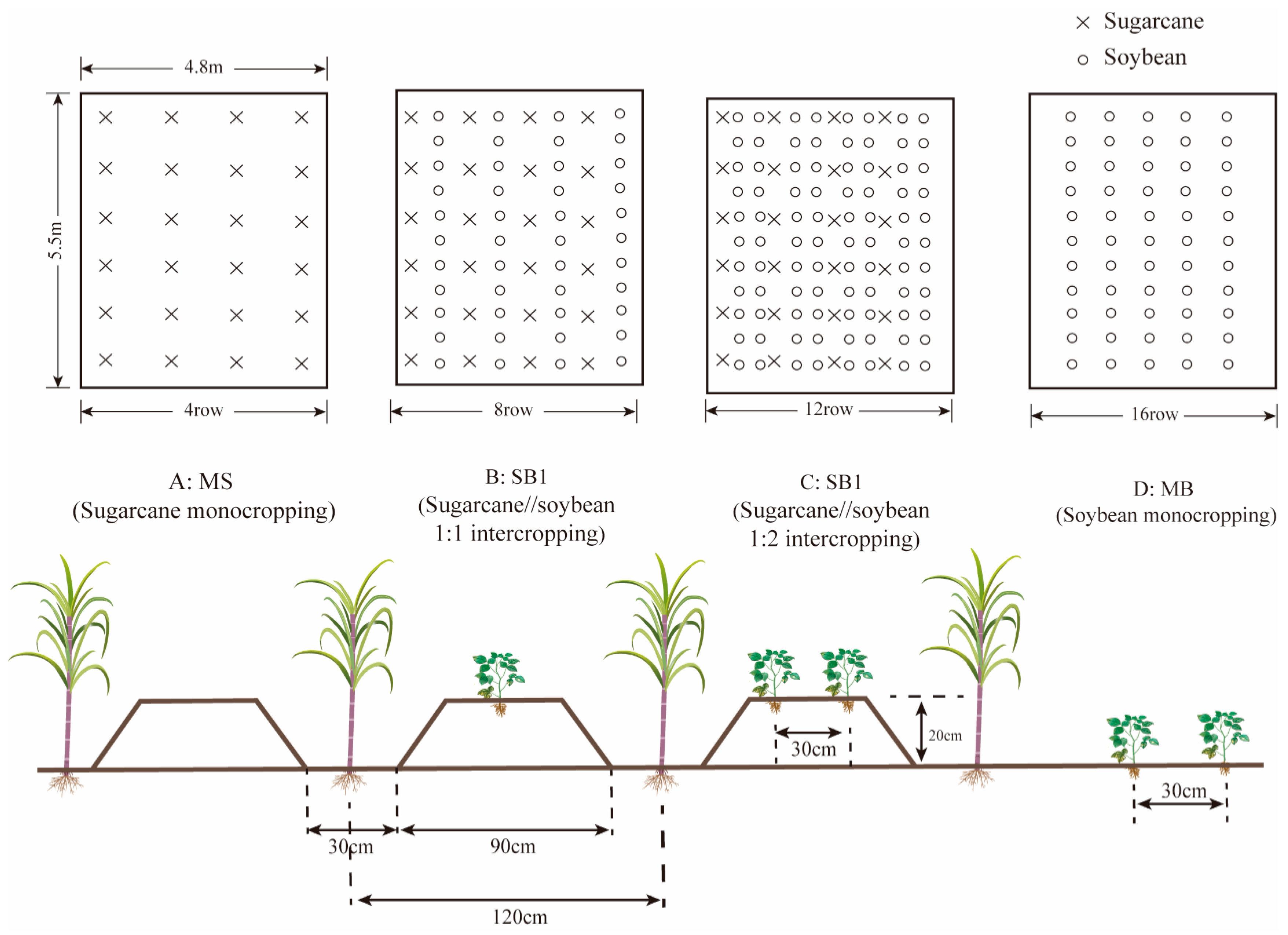 Plants 13 02337 g010
