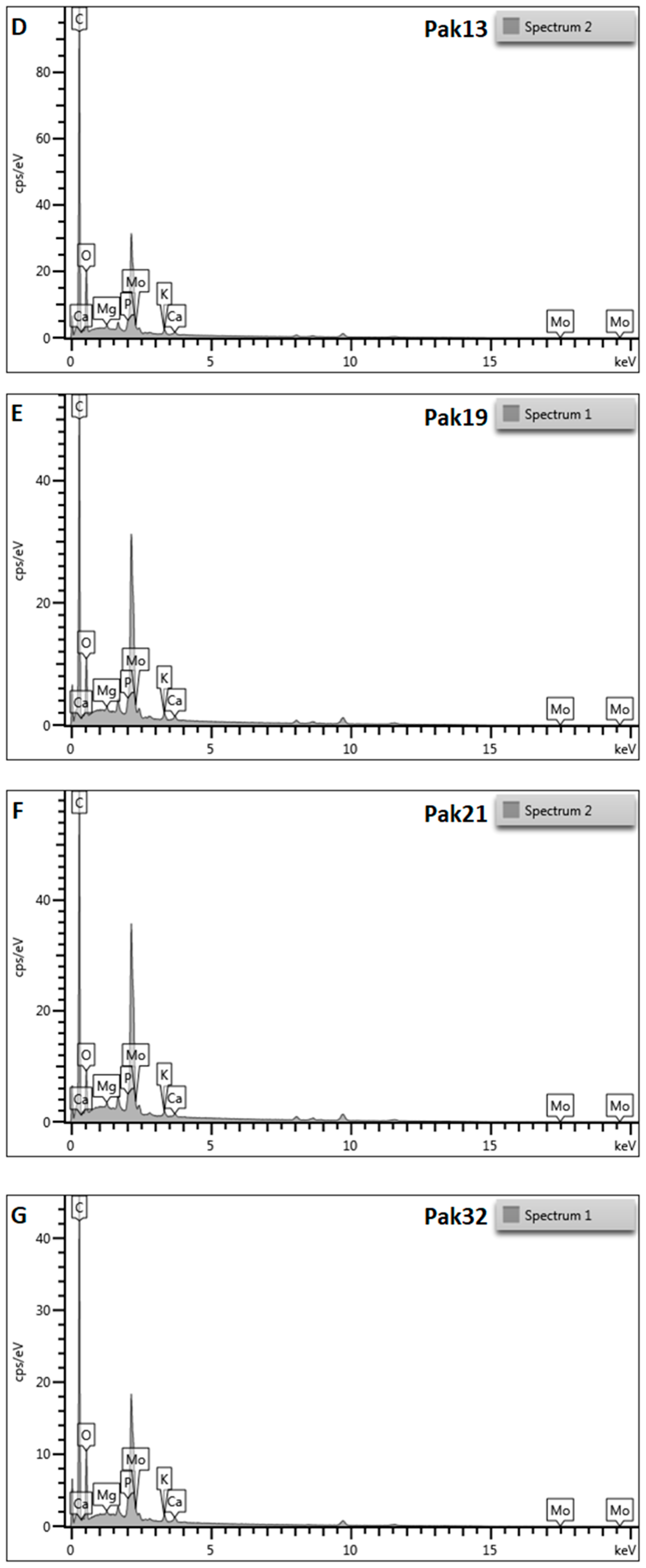 Plants 13 02338 g002b