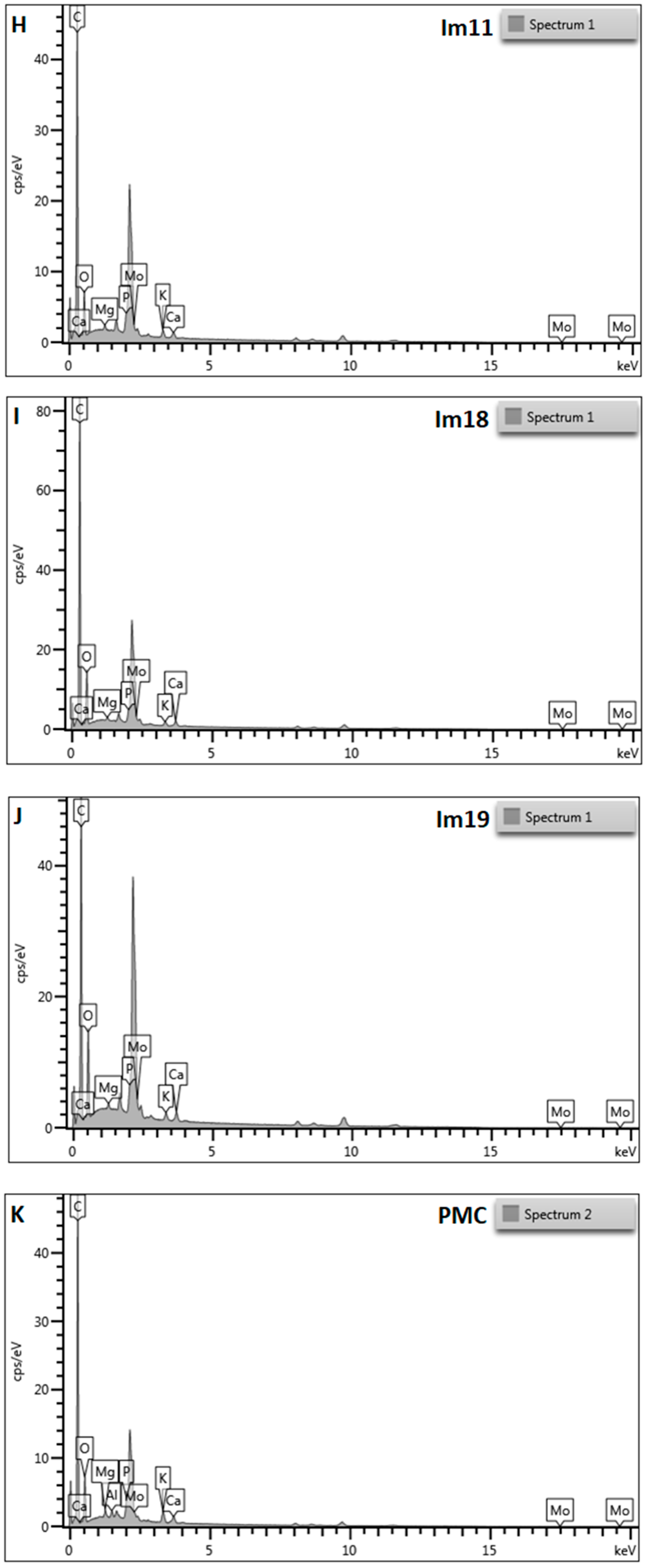 Plants 13 02338 g002c