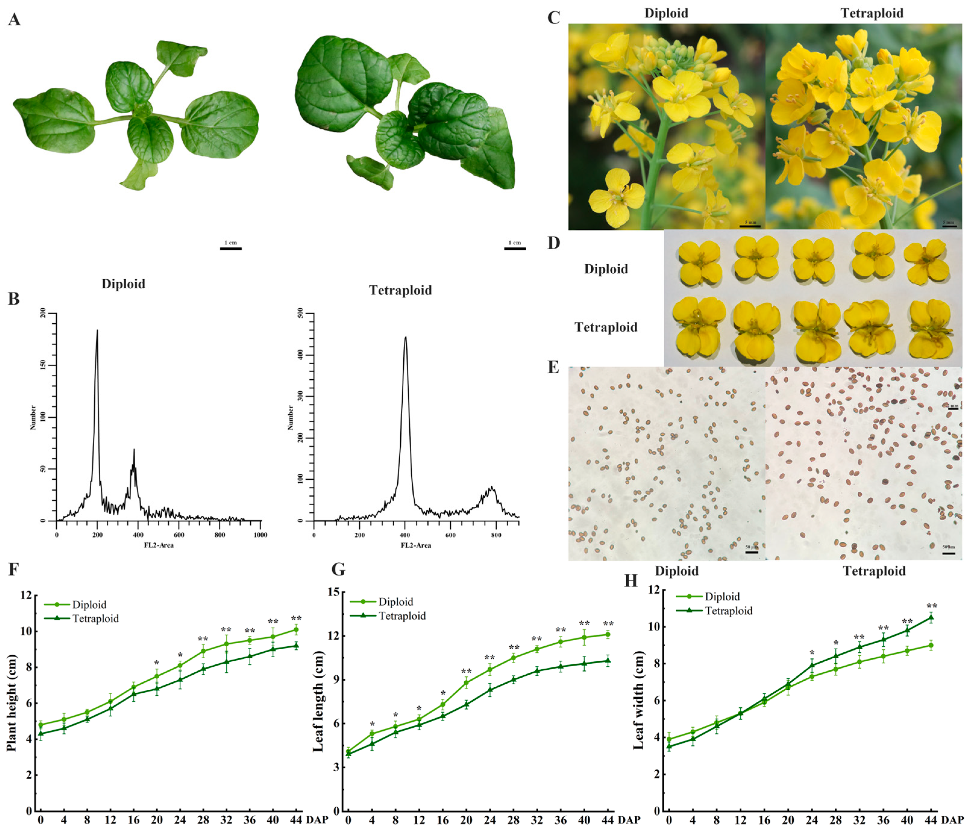 Plants 13 02341 g002