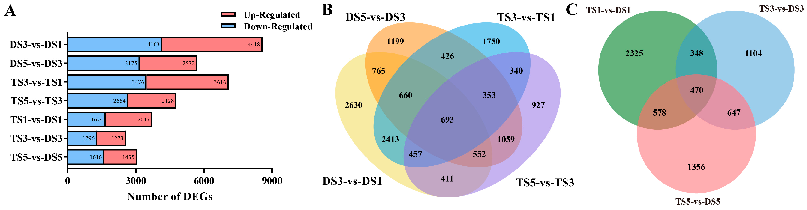 Plants 13 02341 g006