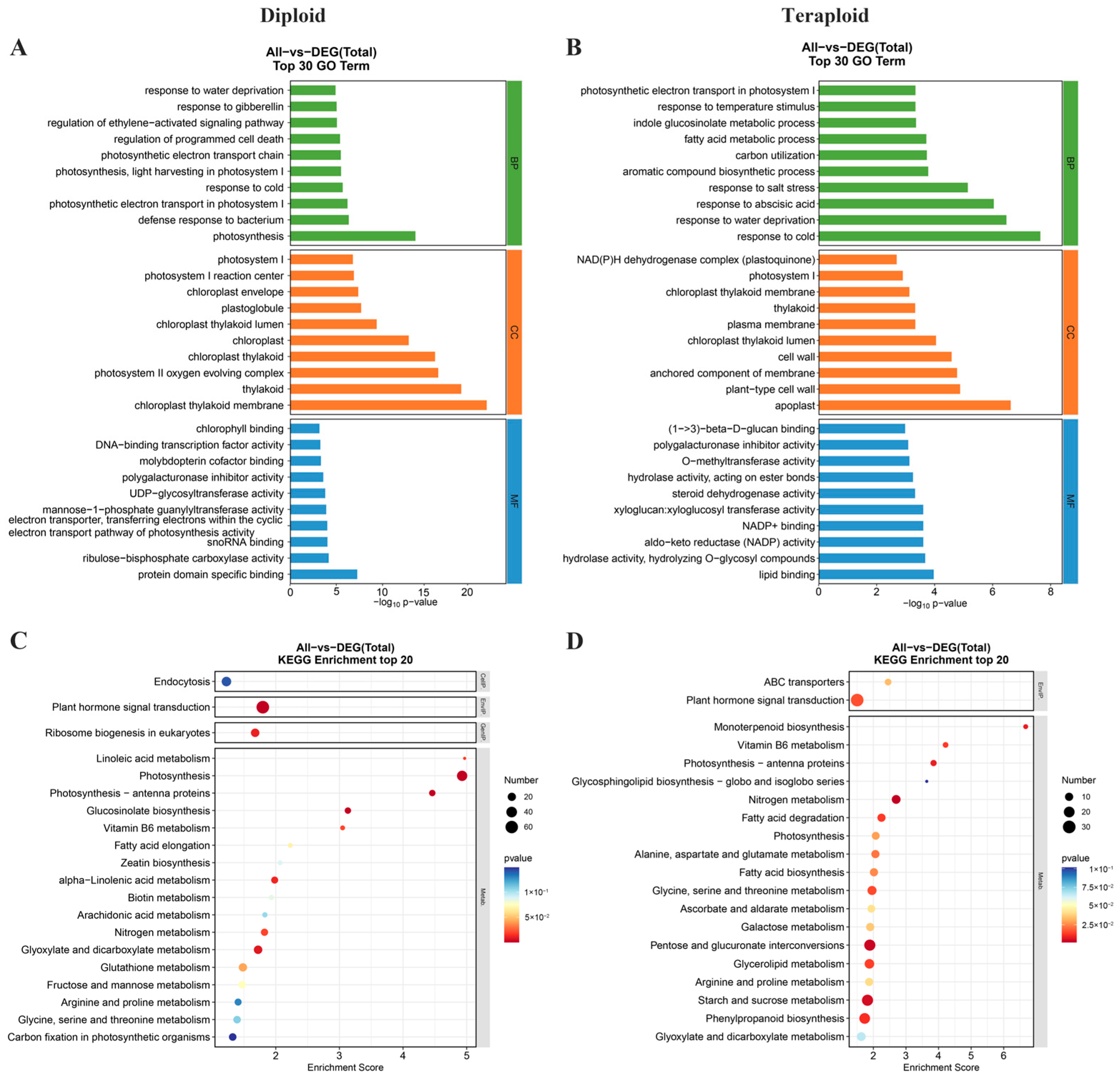 Plants 13 02341 g007