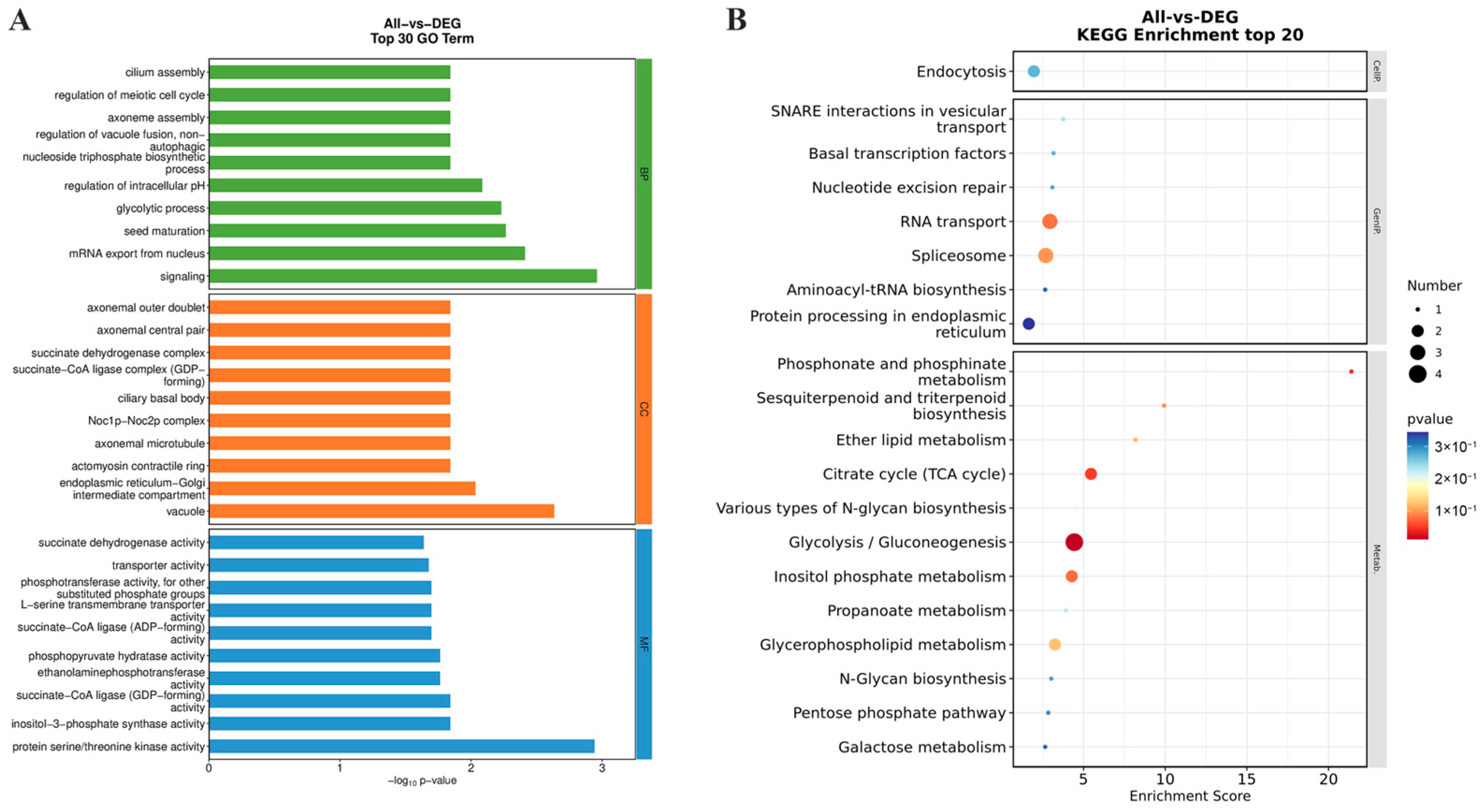 Plants 13 02341 g009