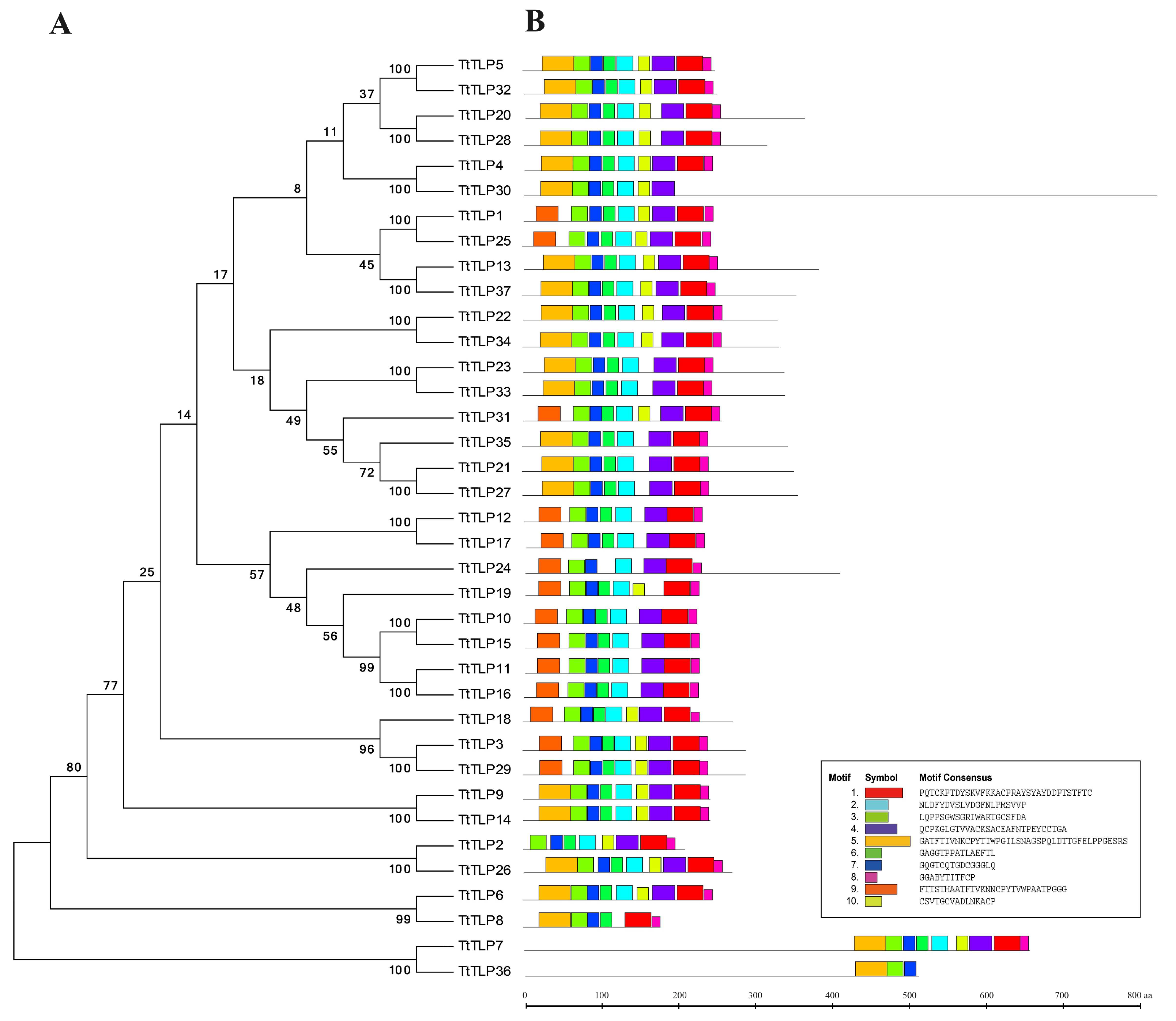 Plants 13 02355 g002