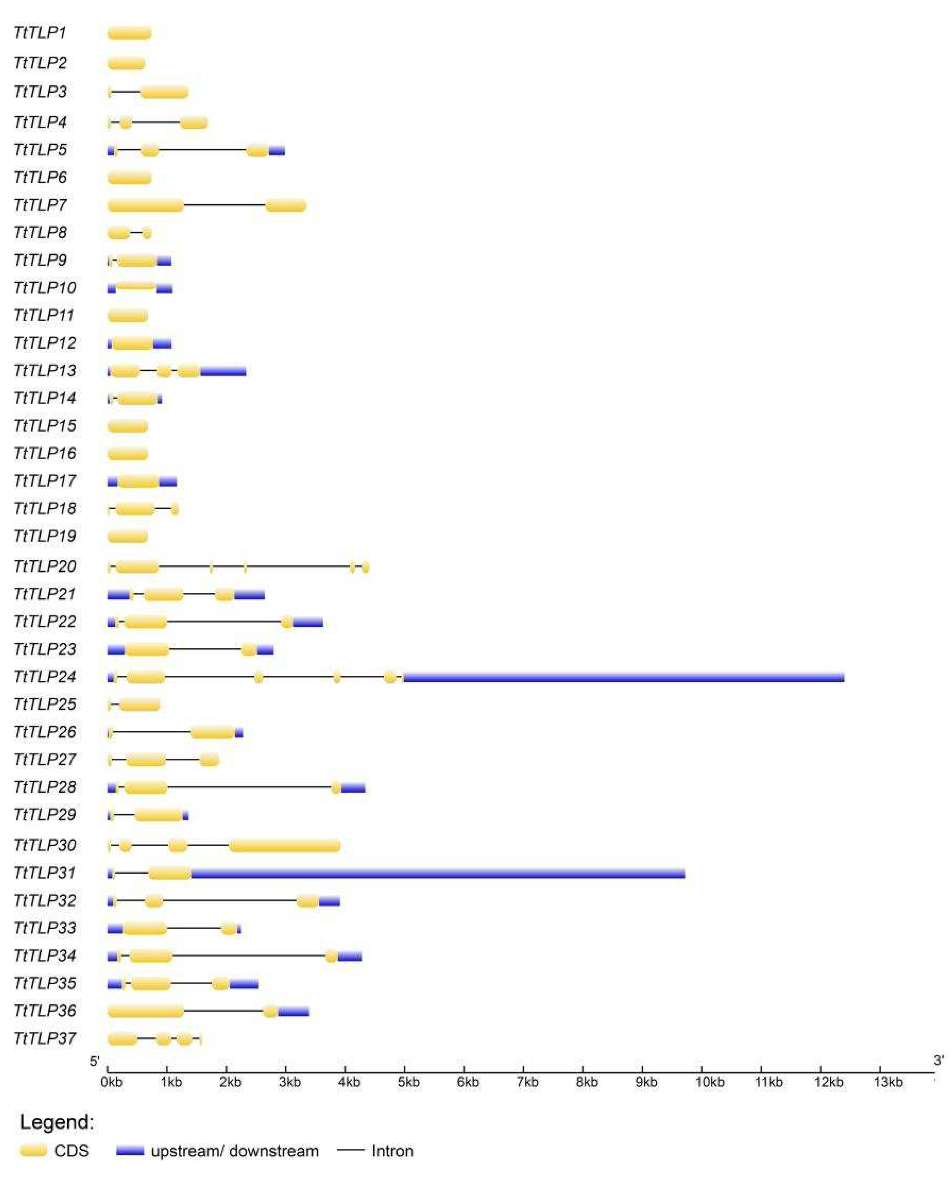 Plants 13 02355 g003