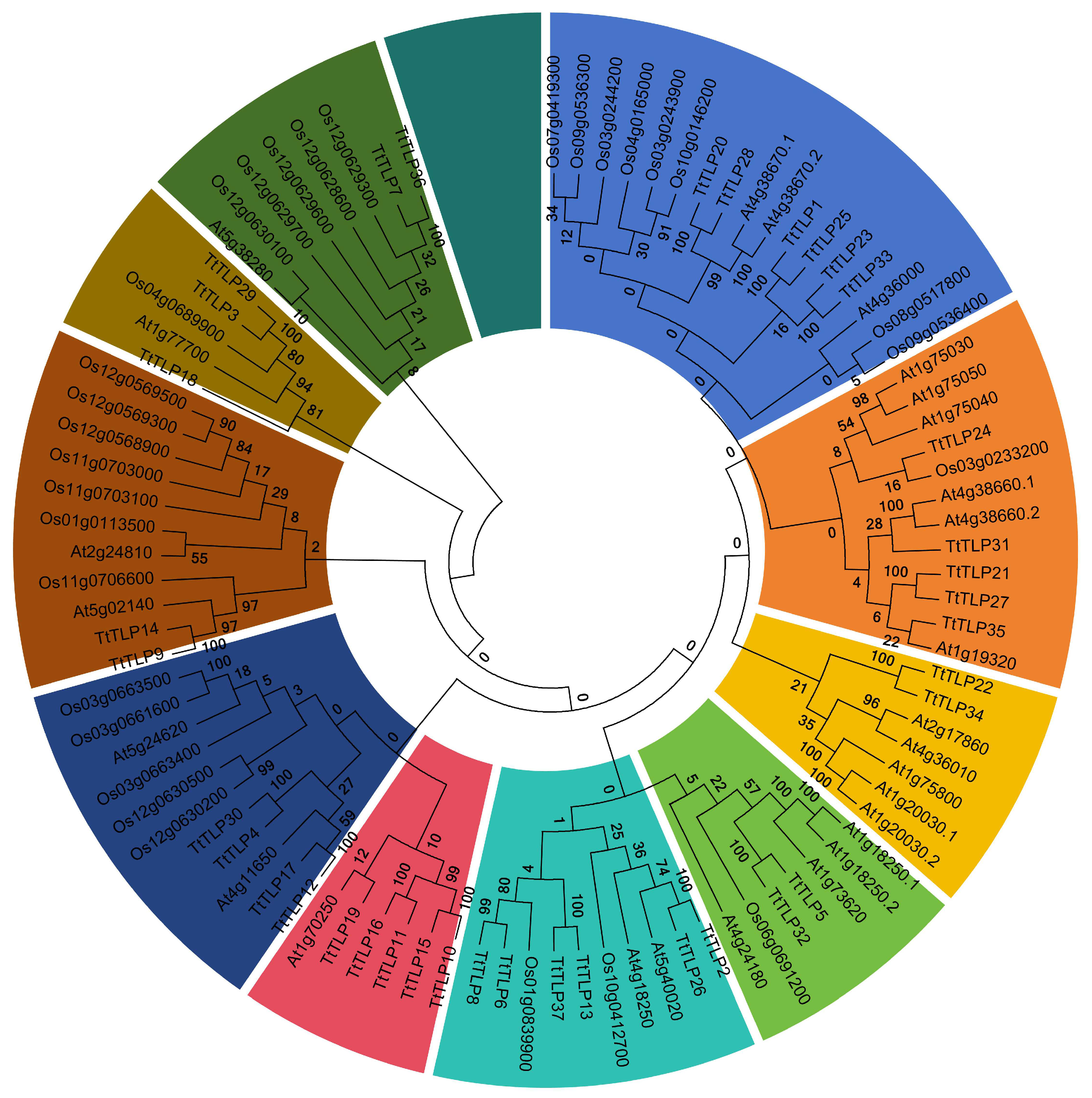 Plants 13 02355 g004
