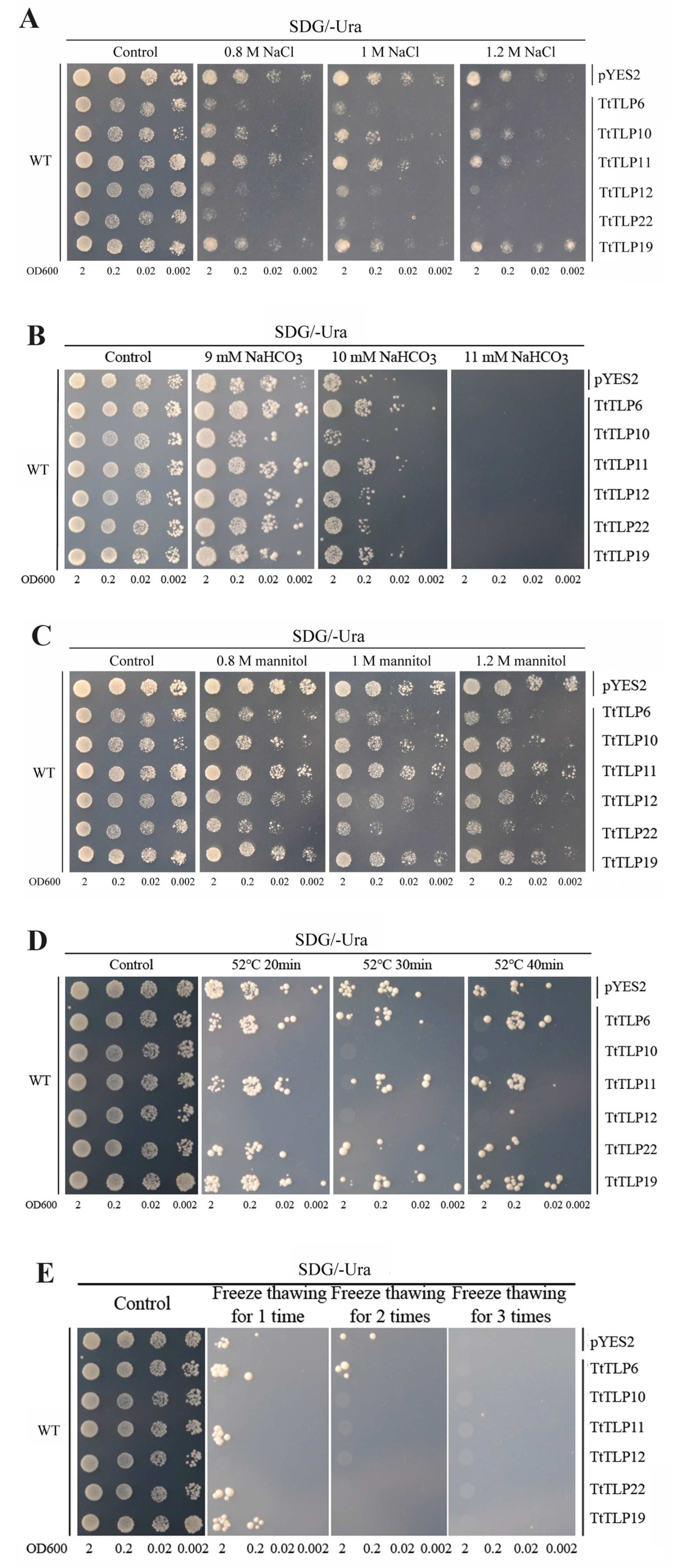 Plants 13 02355 g010