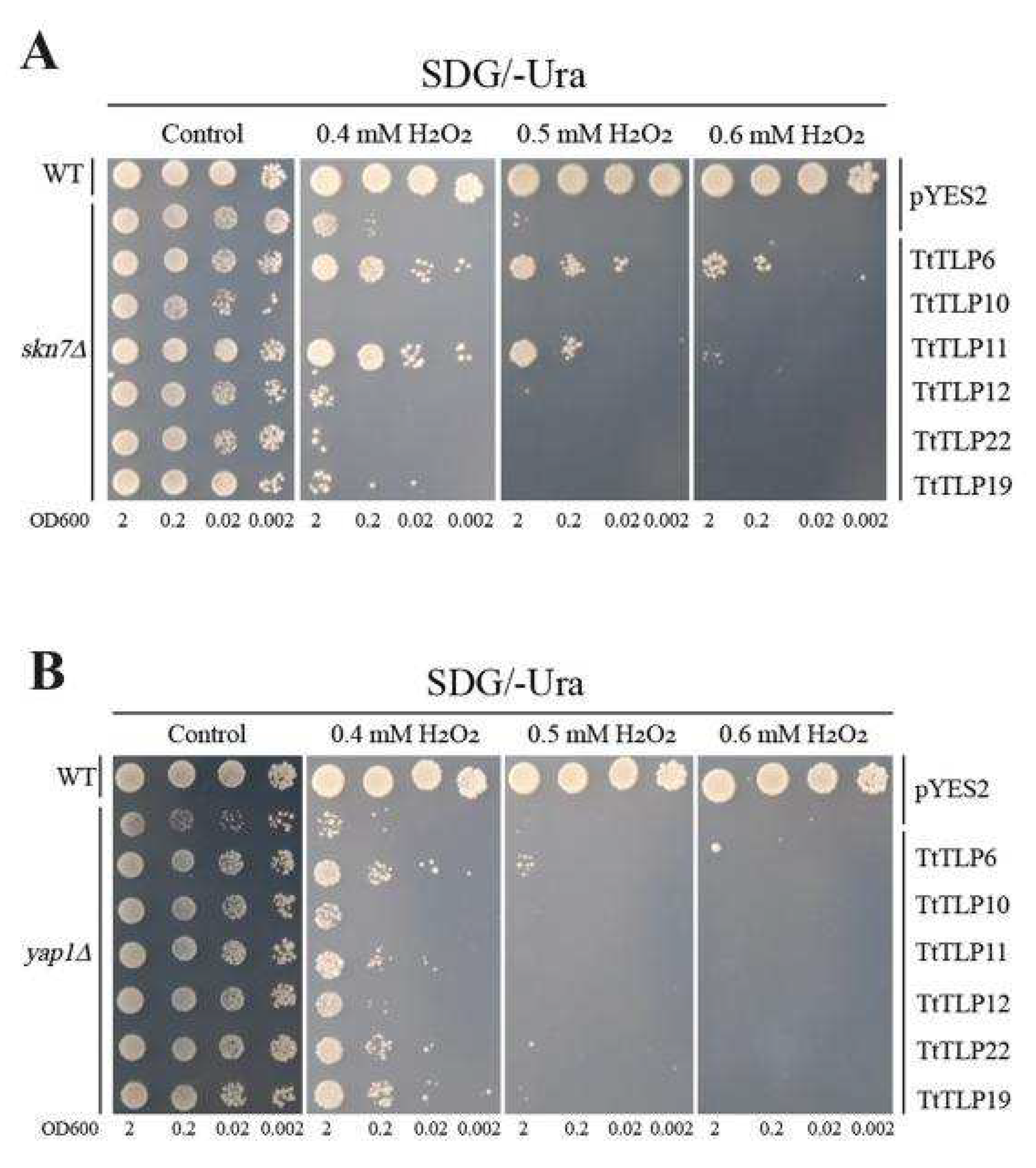 Plants 13 02355 g011