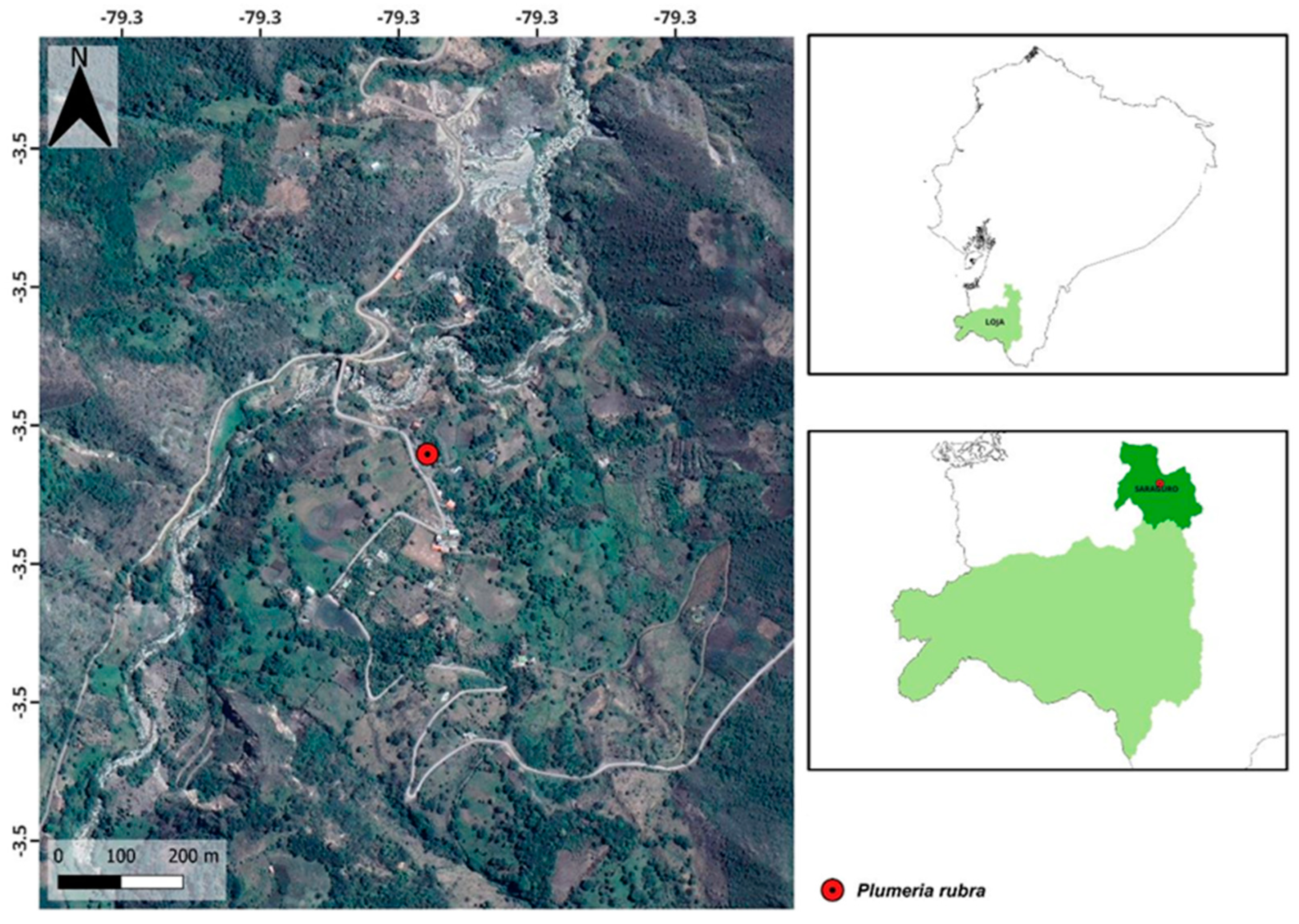 Plants 13 02367 g006