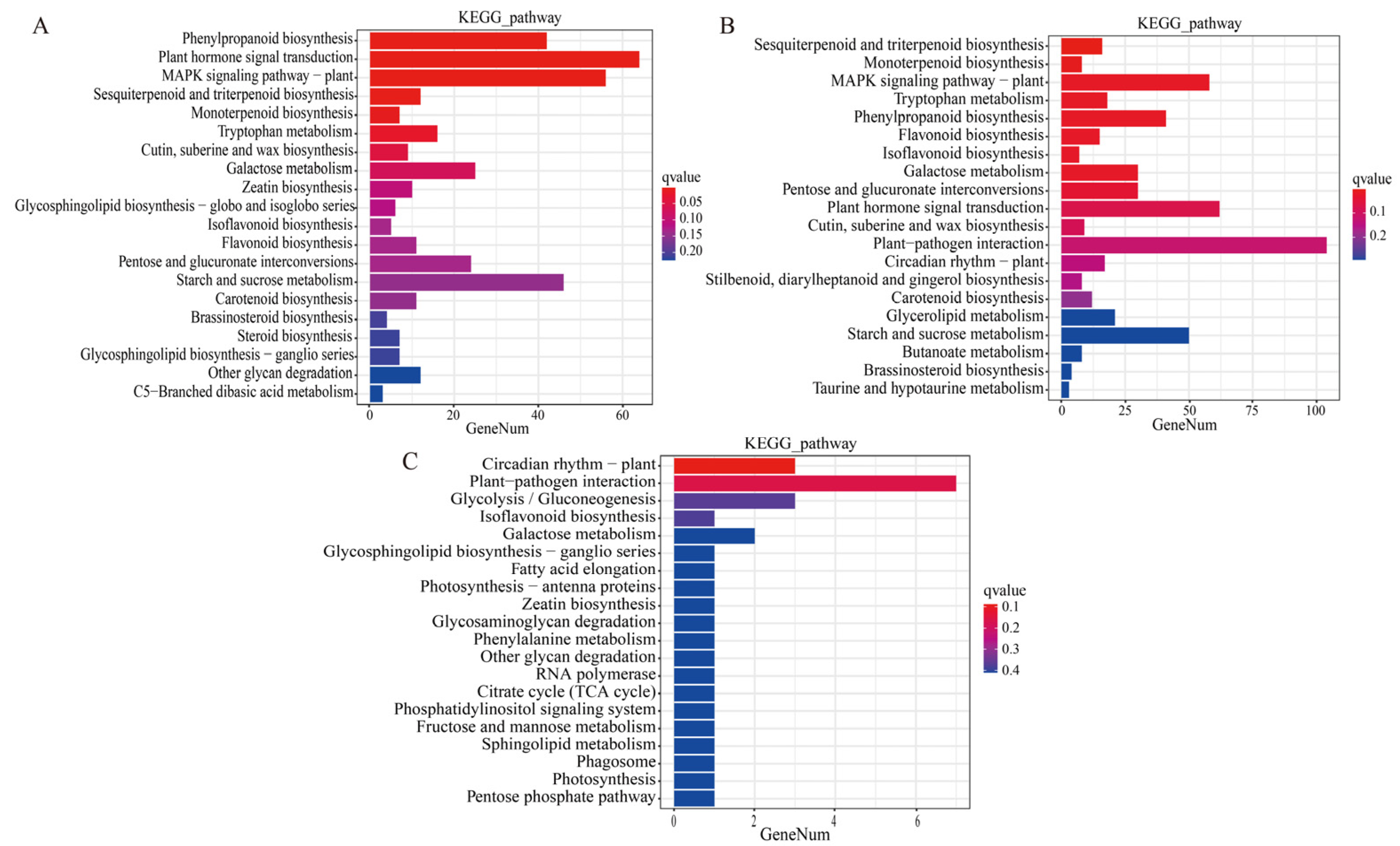 Plants 13 02369 g002