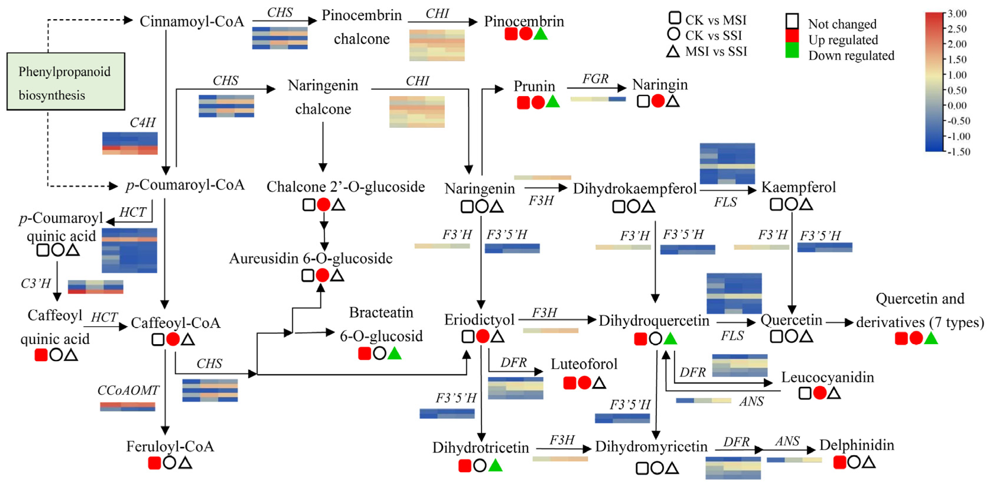 Plants 13 02369 g005