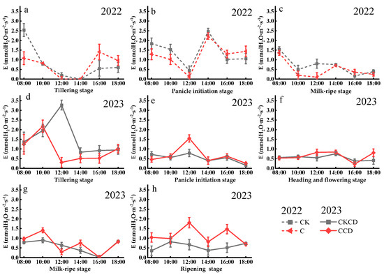 Plants 13 02381 g009