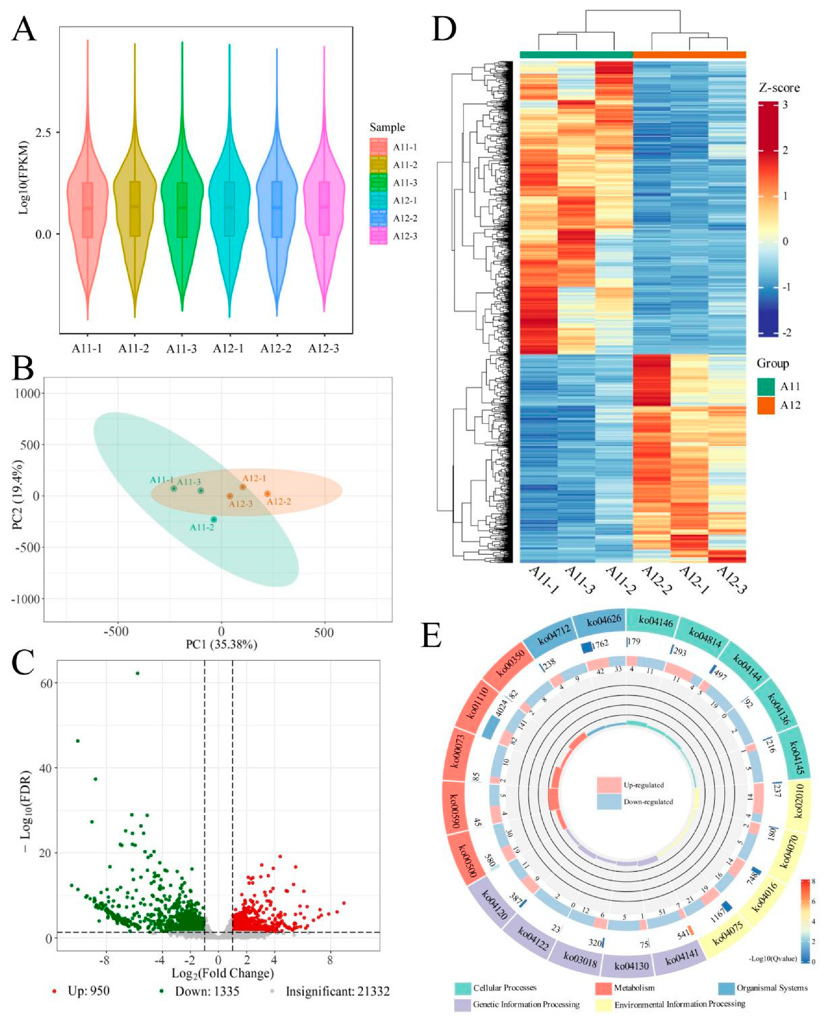 Plants 13 02382 g007