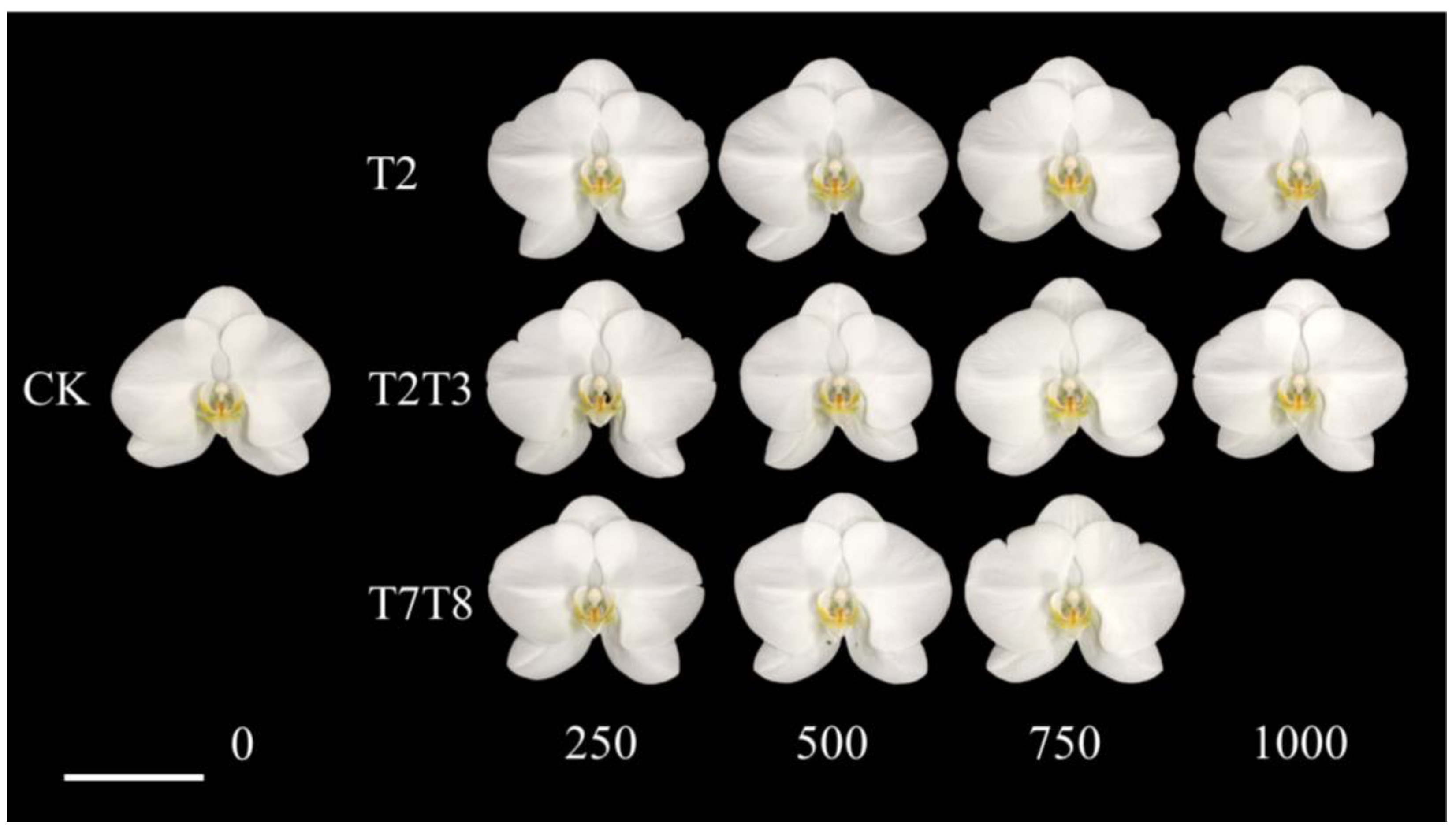 Plants 13 02385 g003