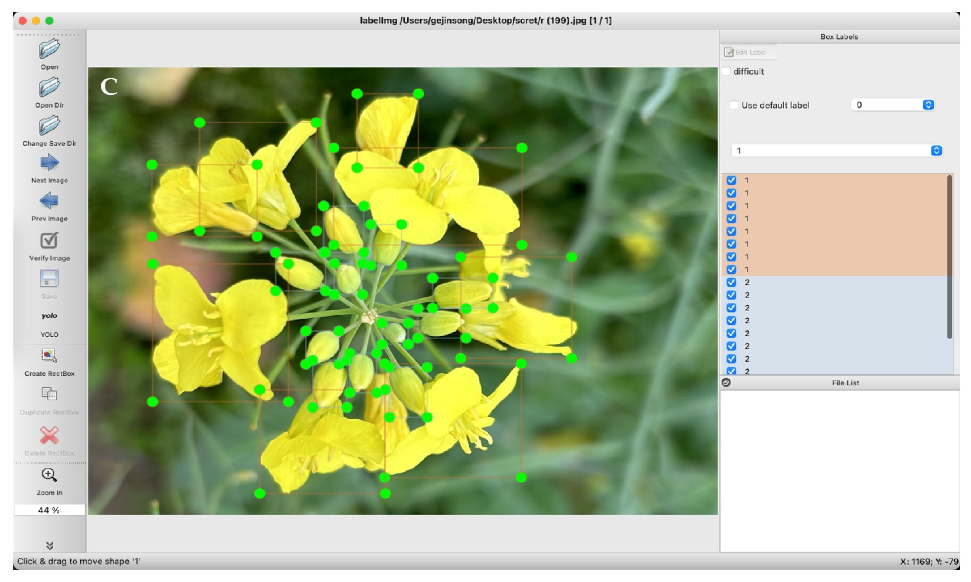 Plants 13 02388 g002b