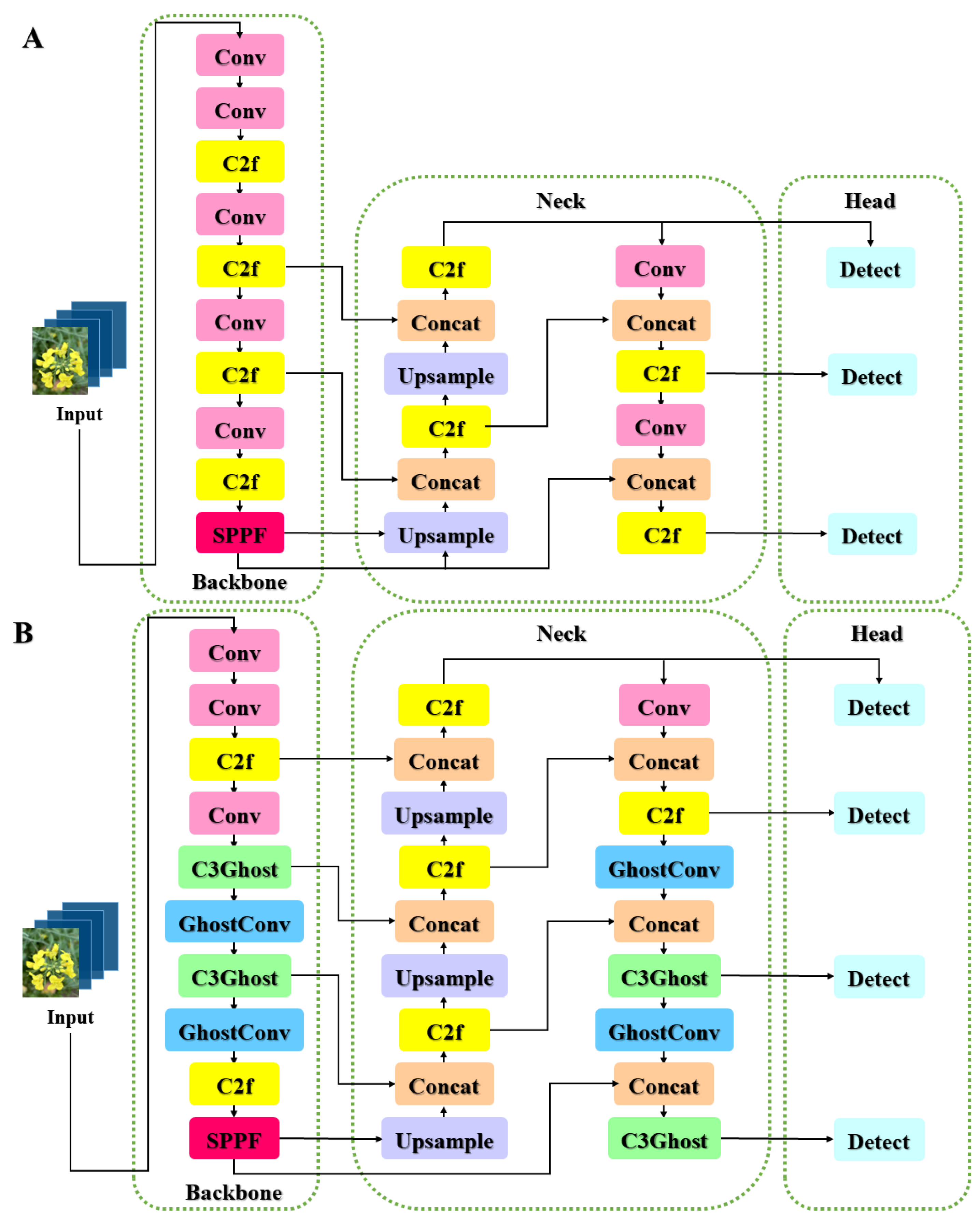 Plants 13 02388 g003