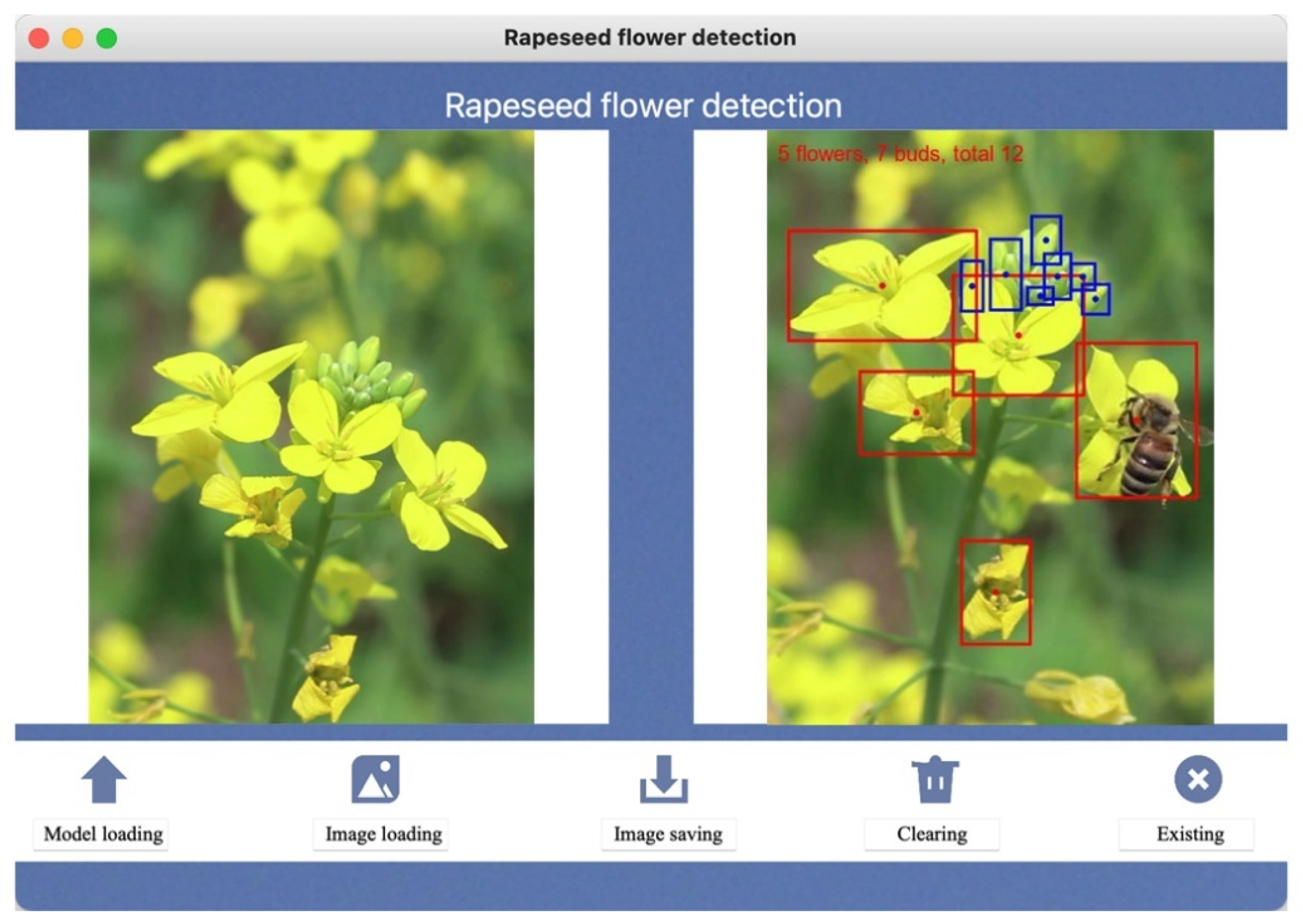 Plants 13 02388 g009