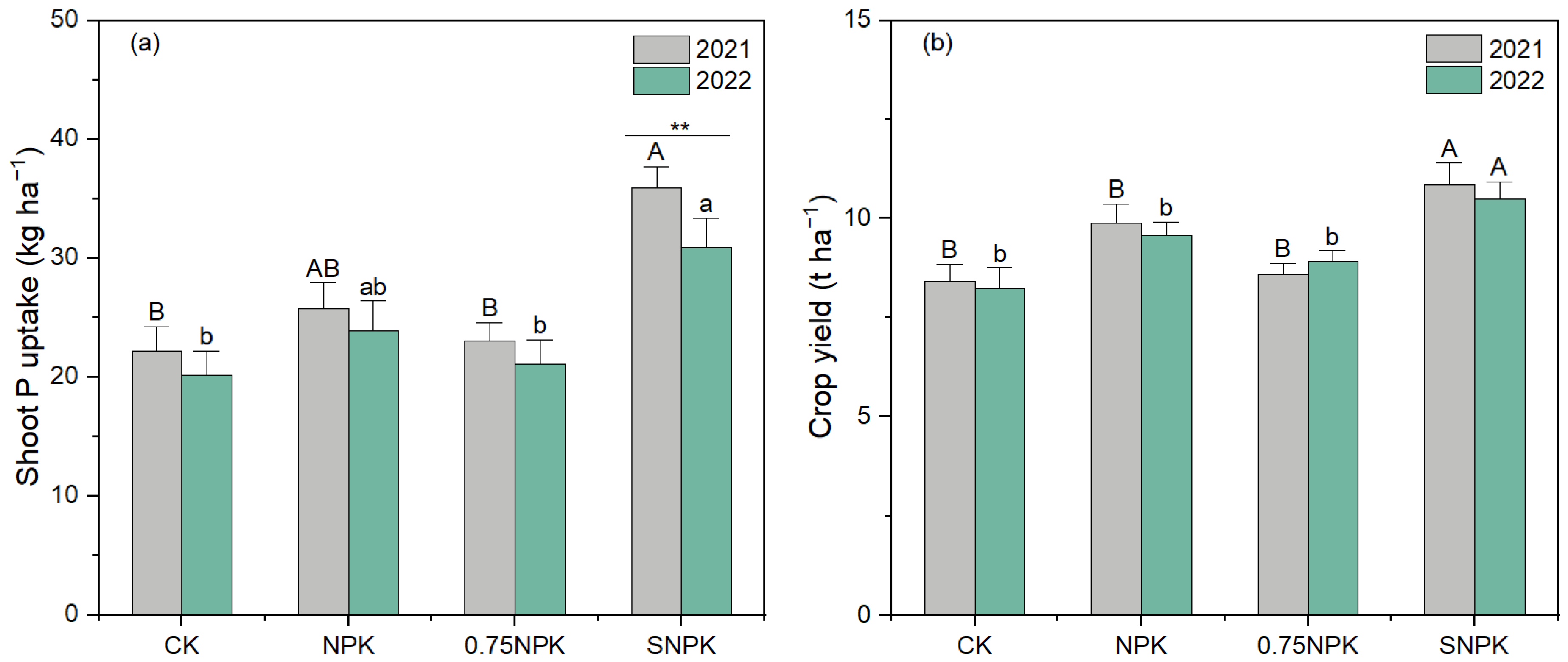 Plants 13 02389 g001