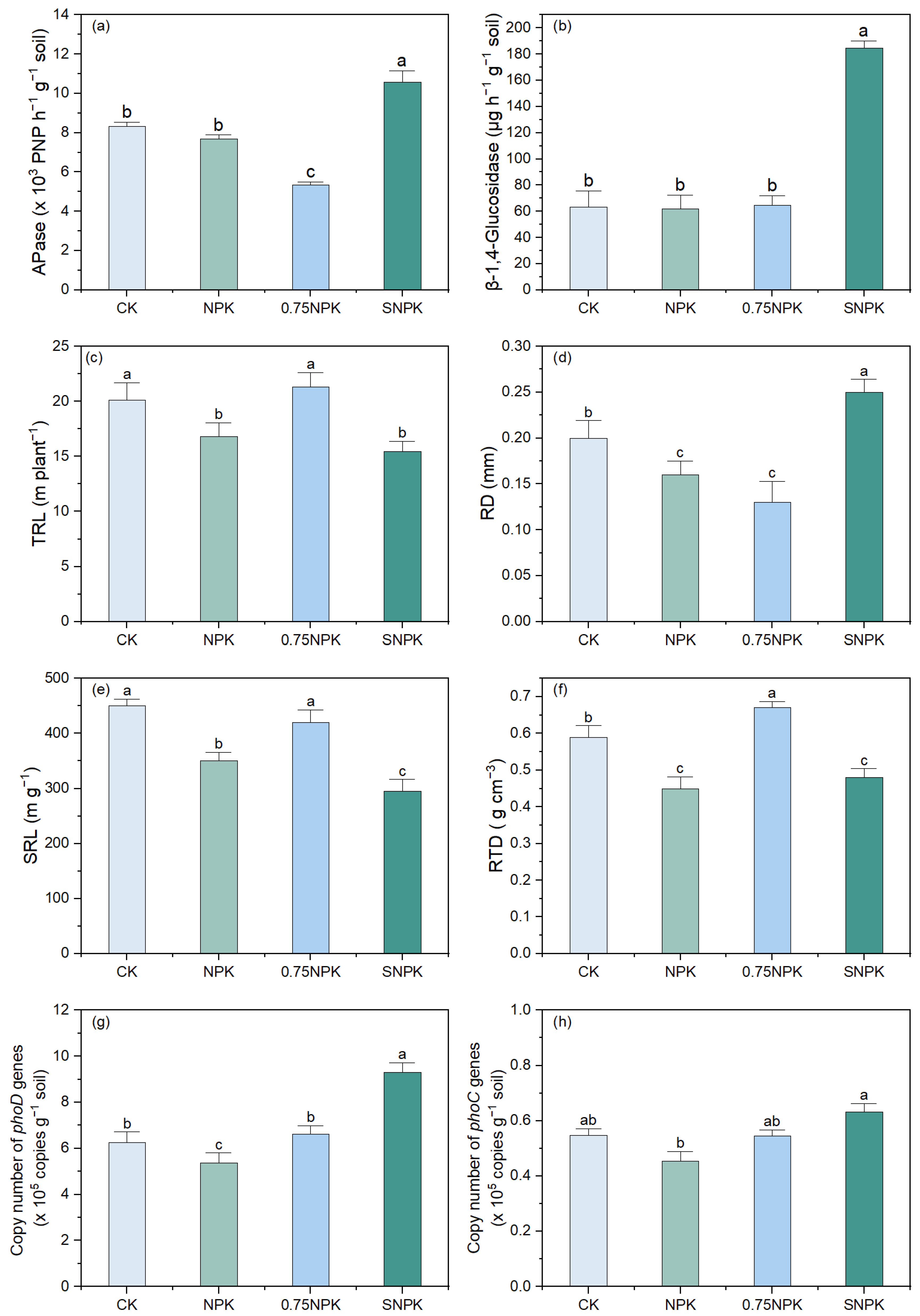 Plants 13 02389 g004