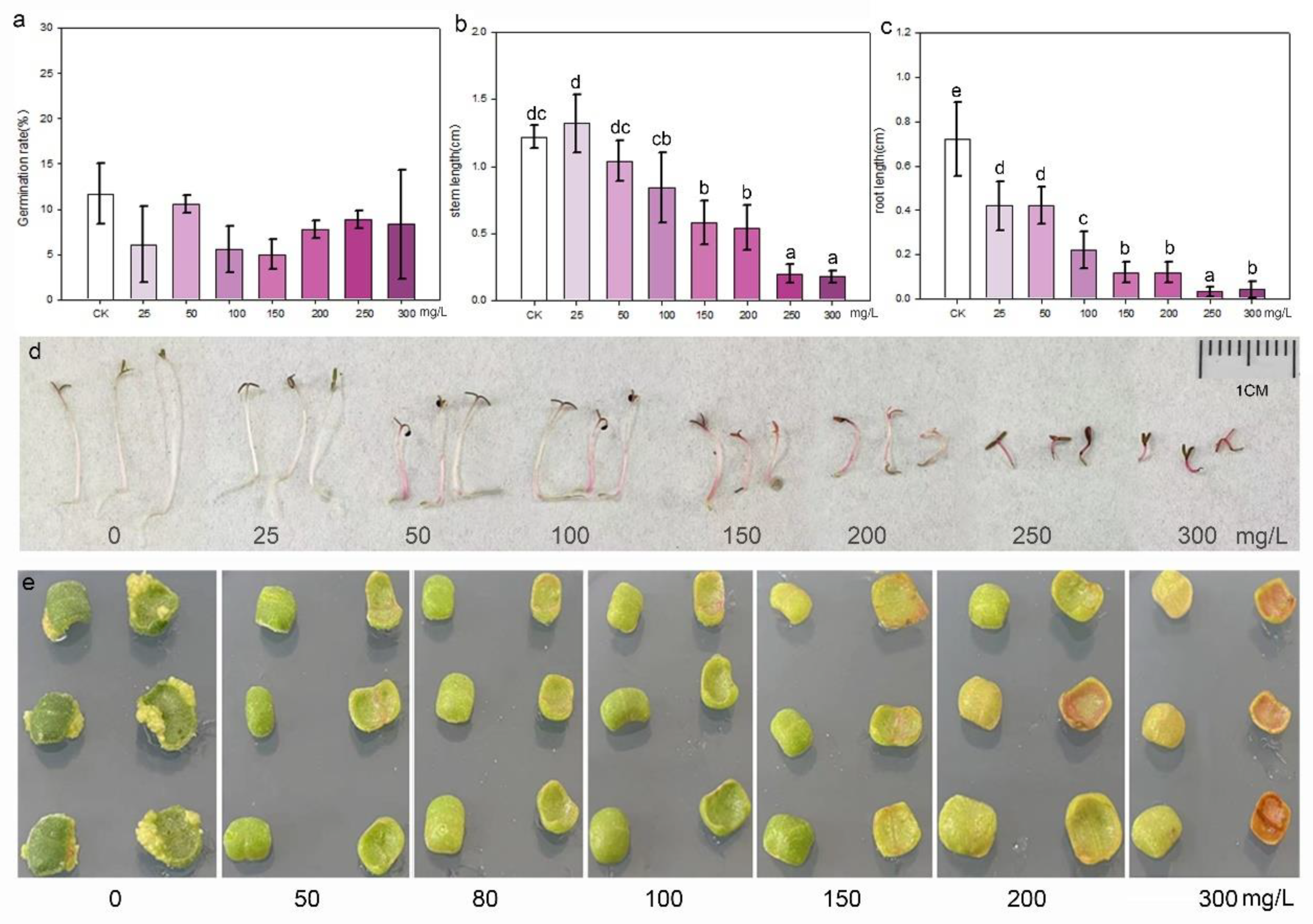 Plants 13 02390 g004