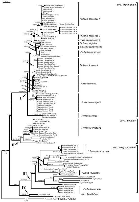 Plants 13 02397 g001
