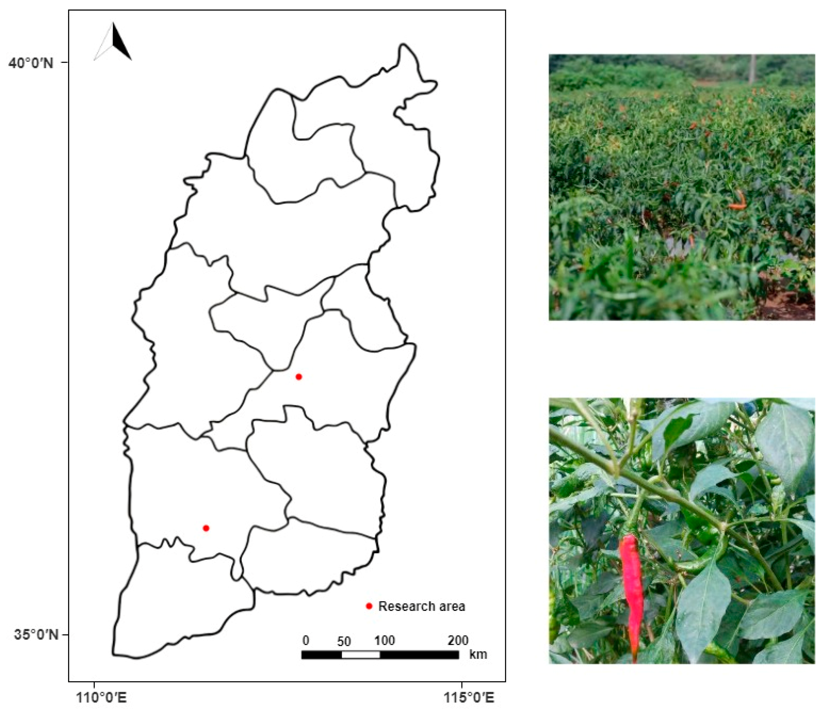 Plants 13 02402 g006