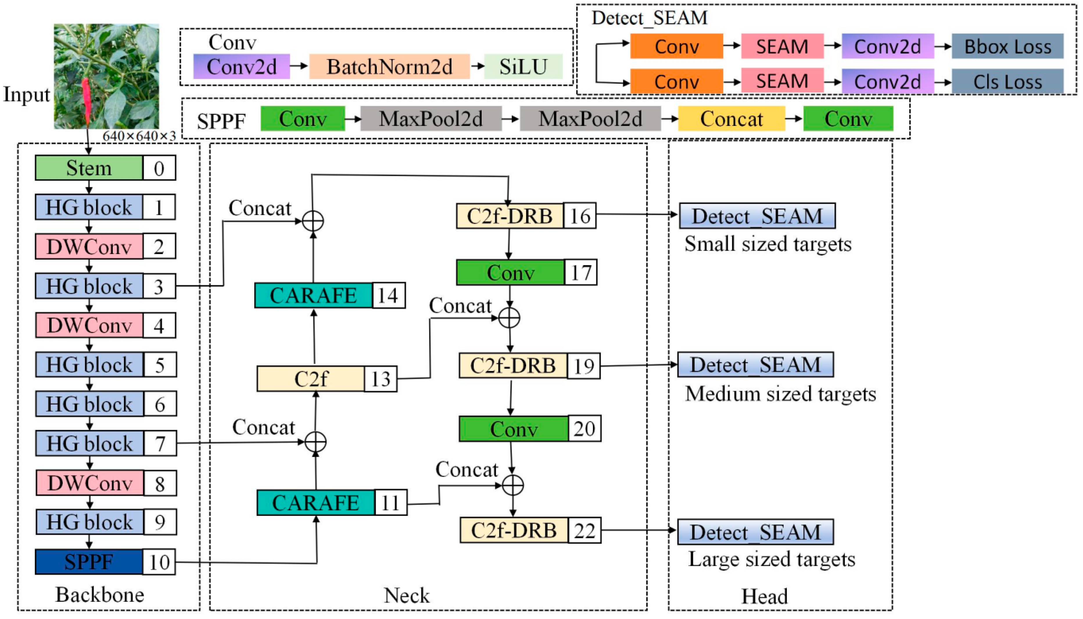 Plants 13 02402 g012